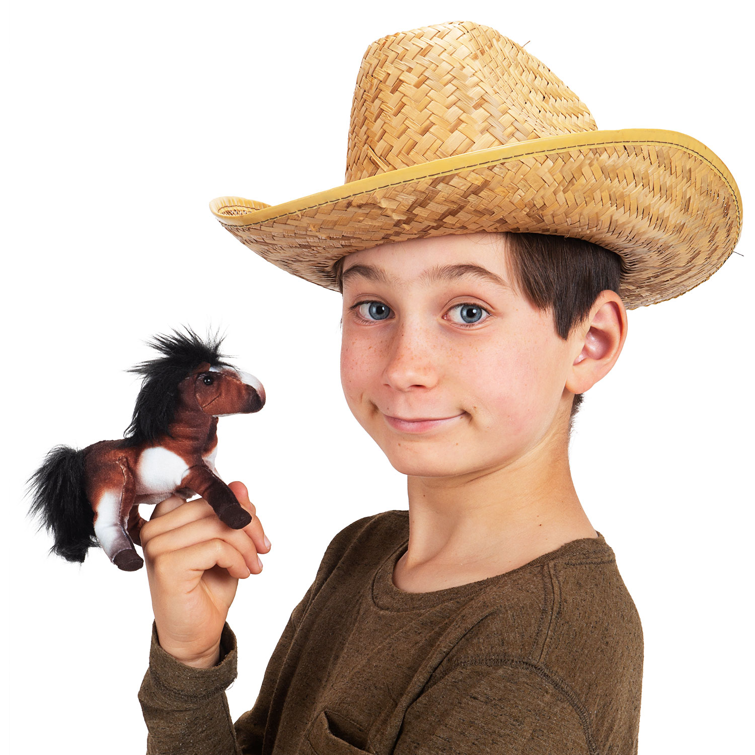 Mini Horse