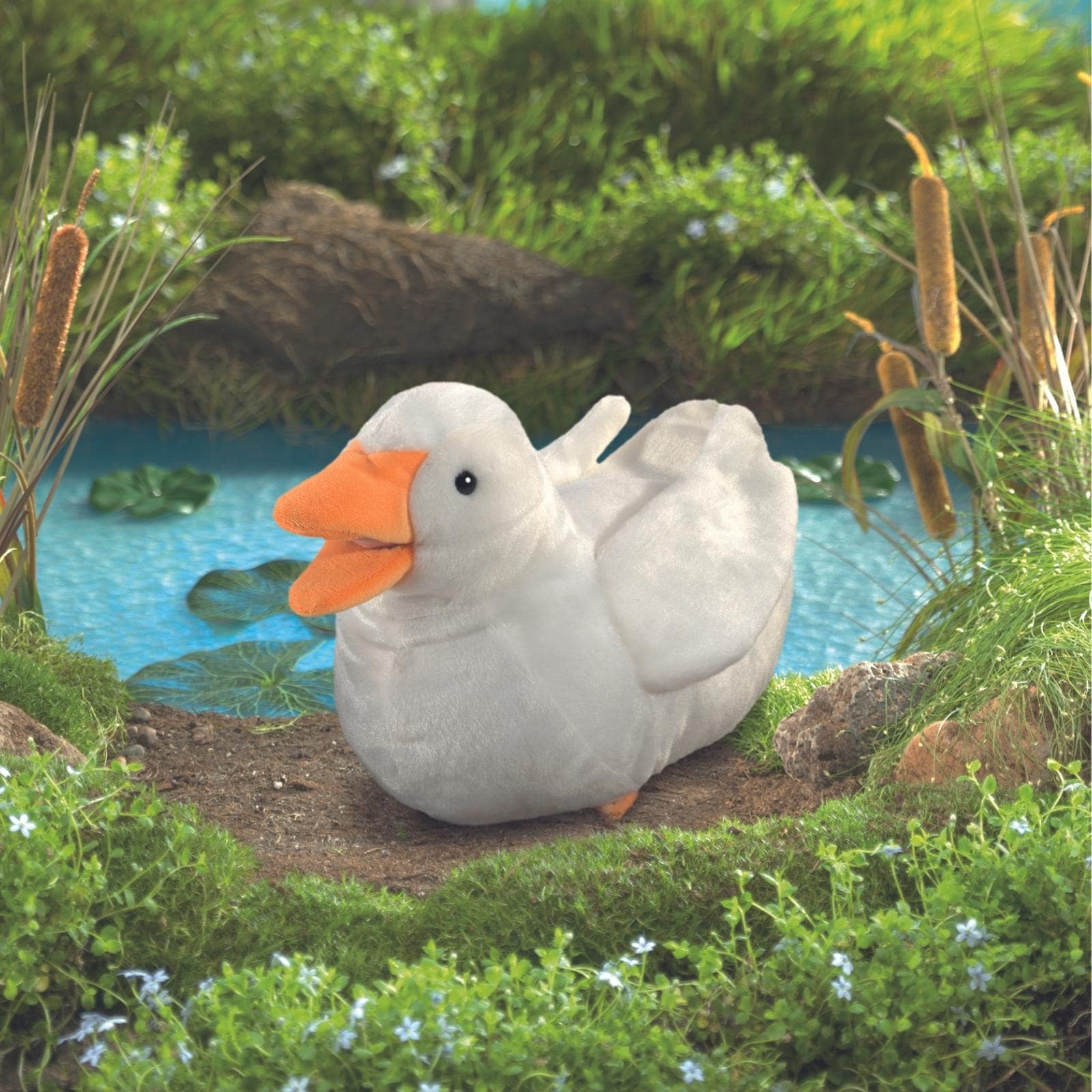 Duck