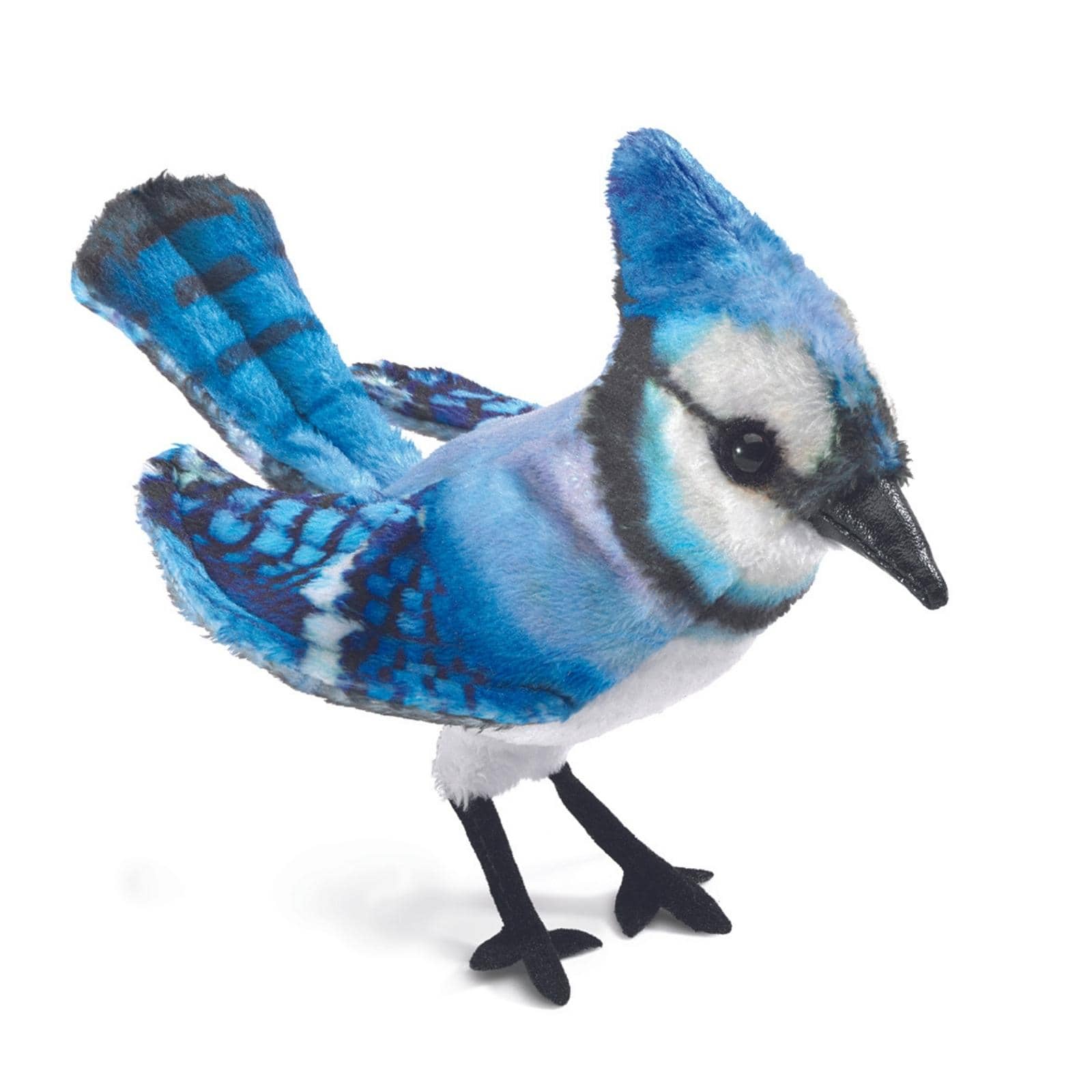 Mini Blue Jay