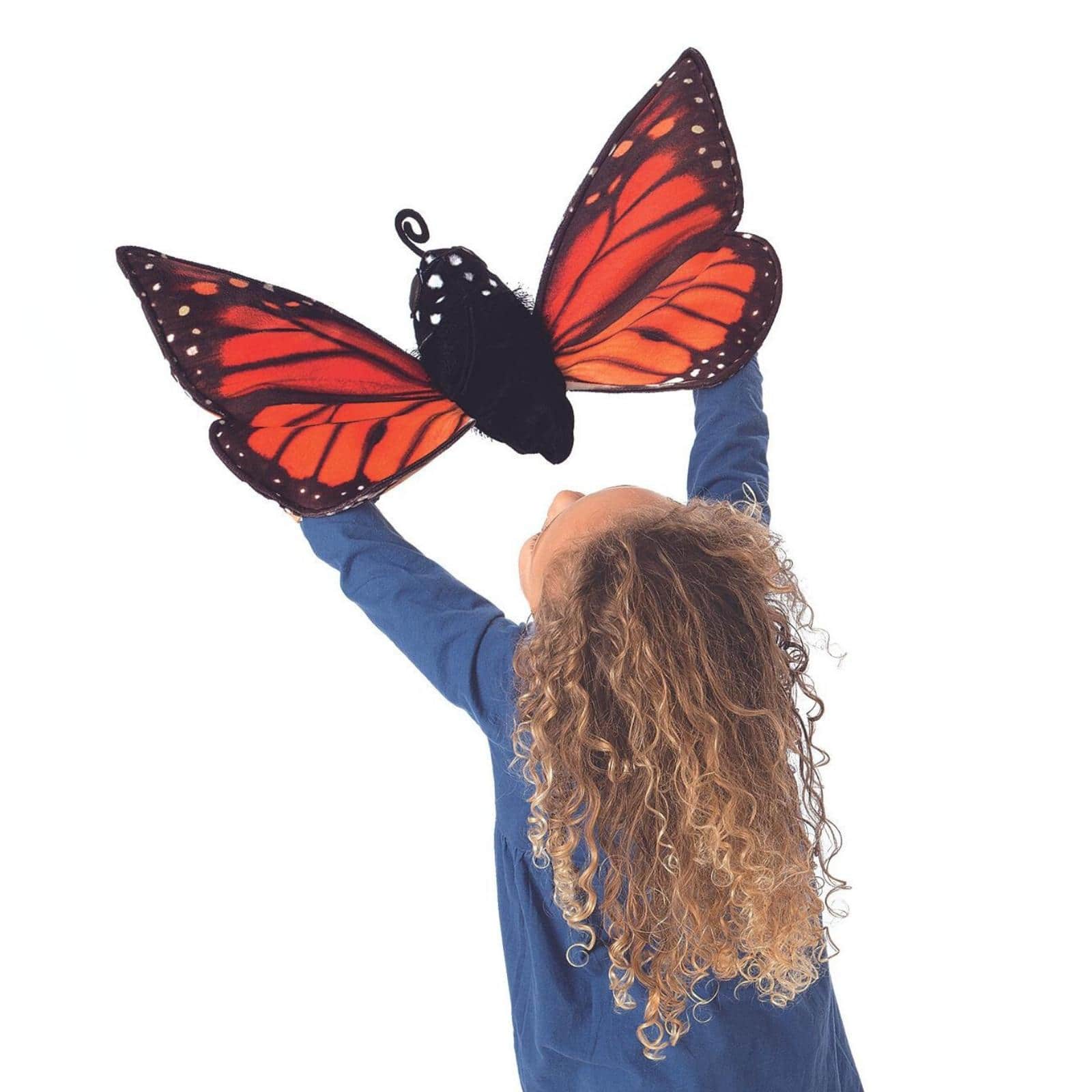 Monarch Life Cycle - Metamorphose