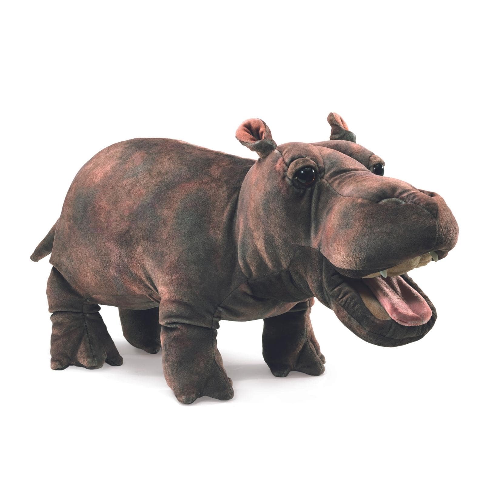 Baby Hippo