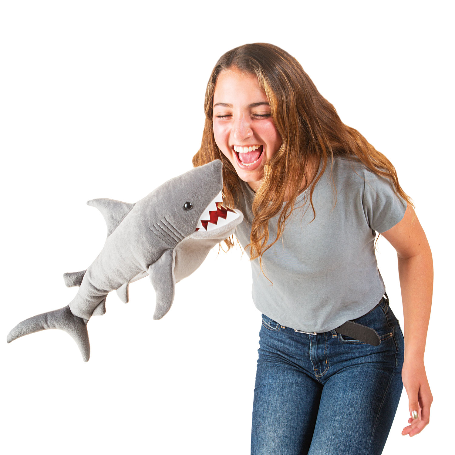 Shark