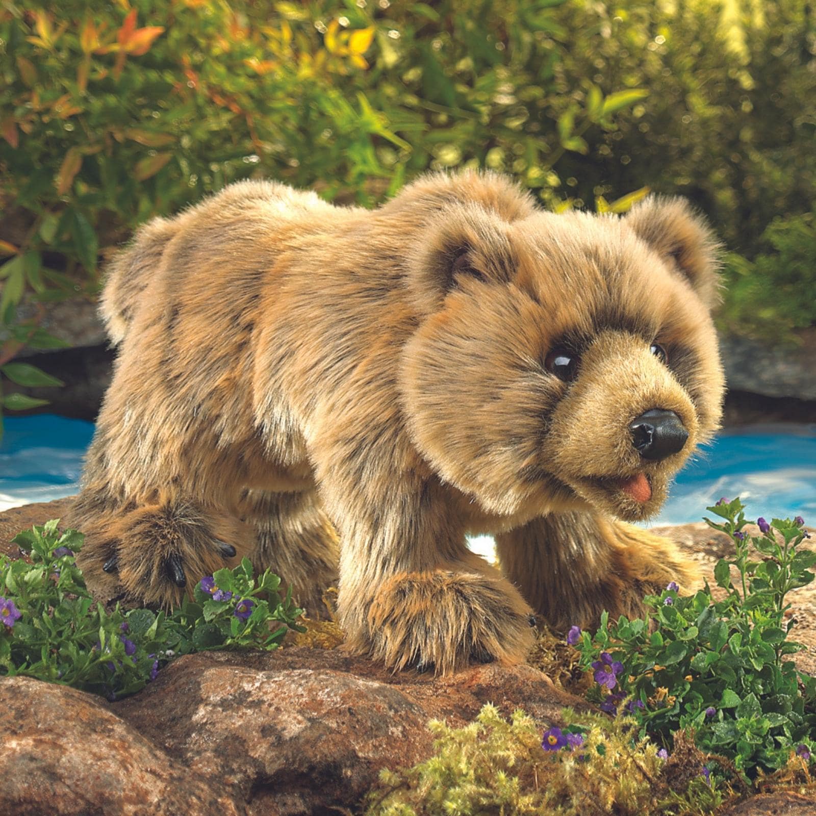 Grizzly Bear