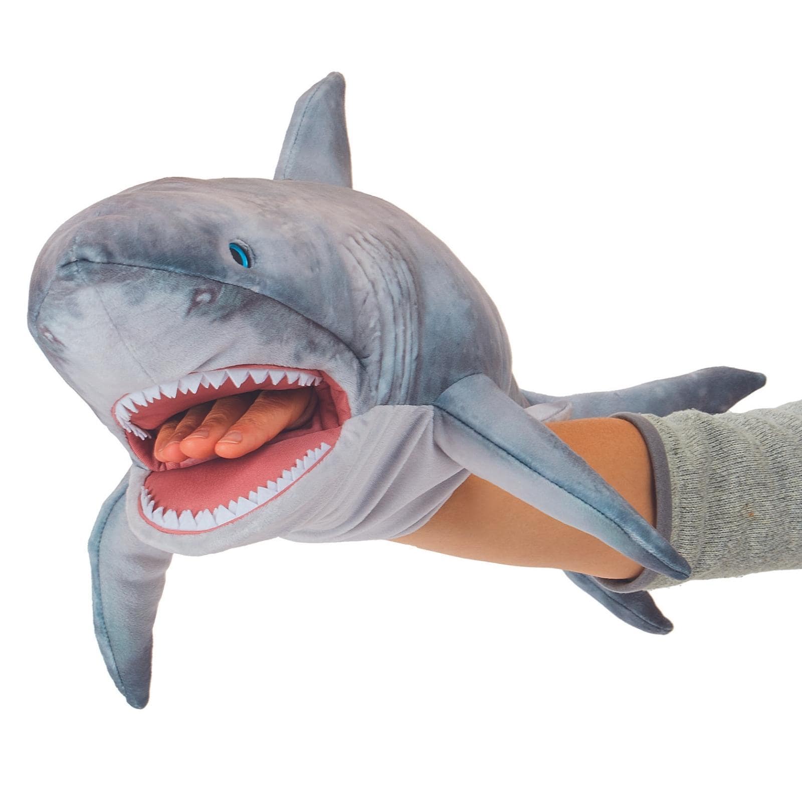 Great white shark
