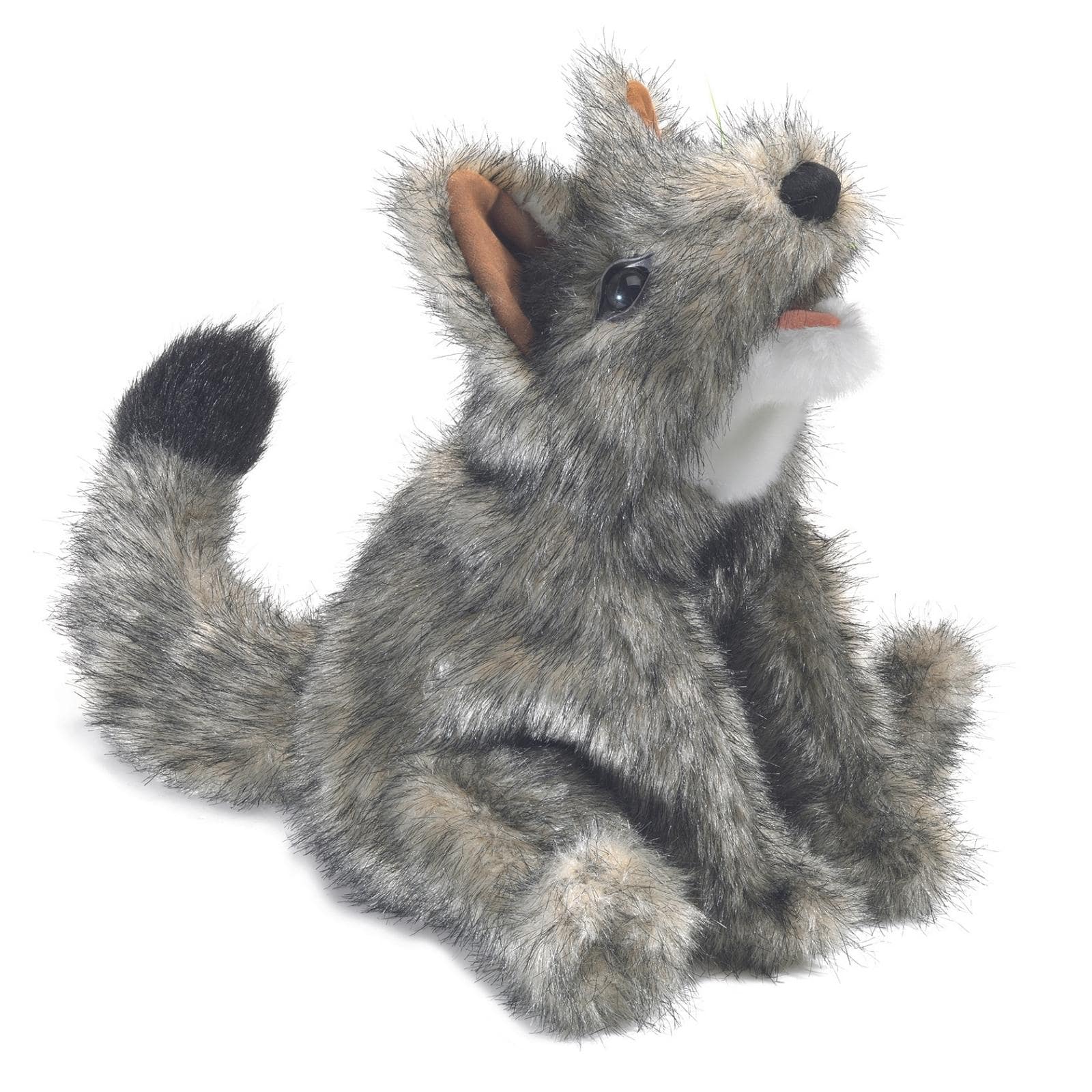 Small Coyote