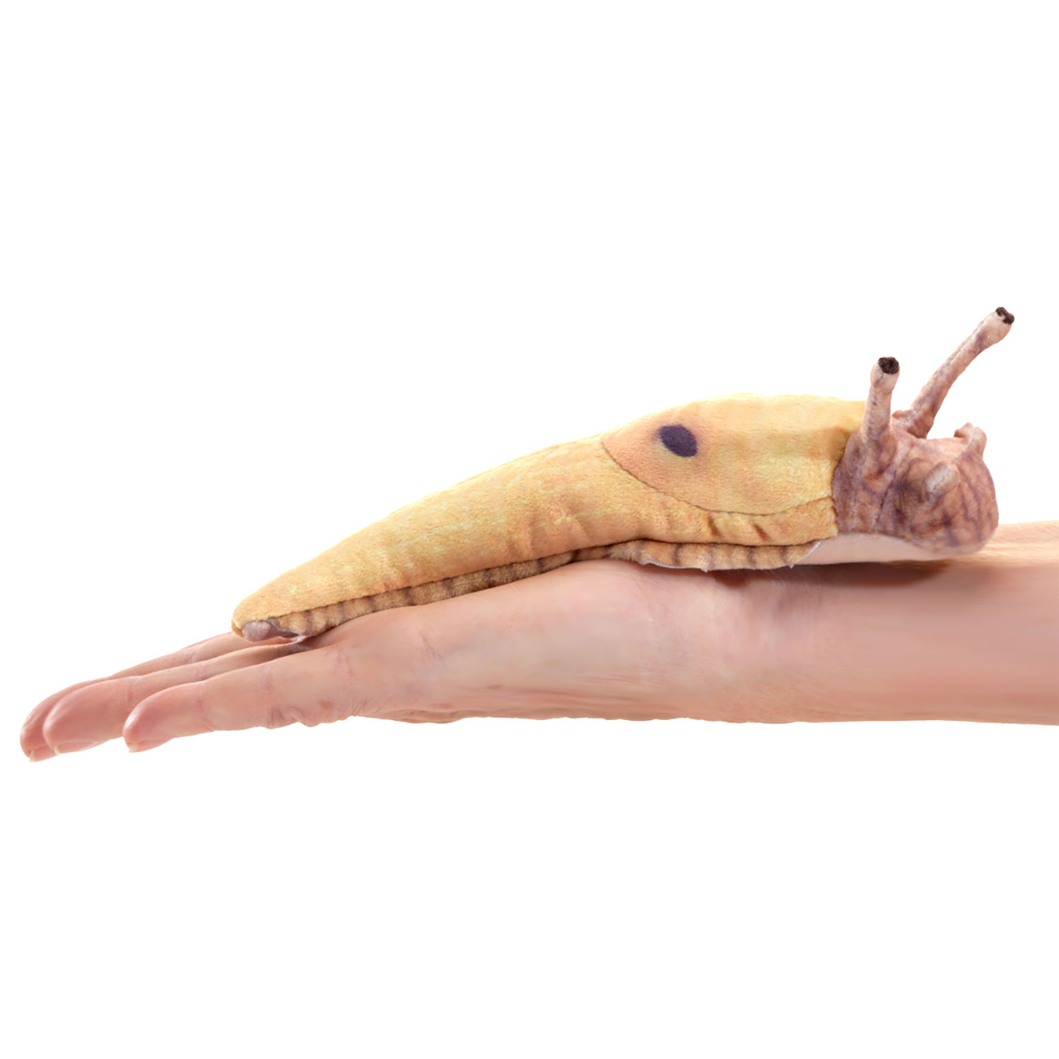 Mini Banana Slug