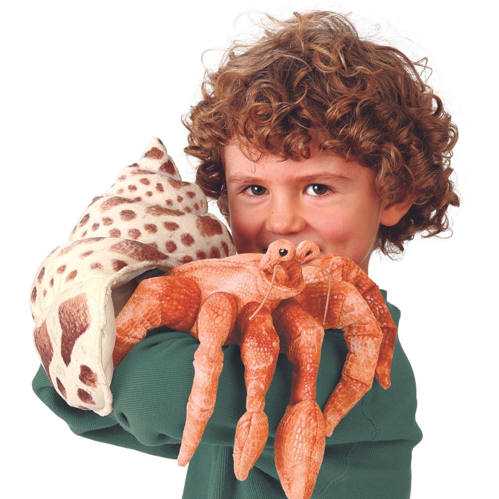 Hermit Crab