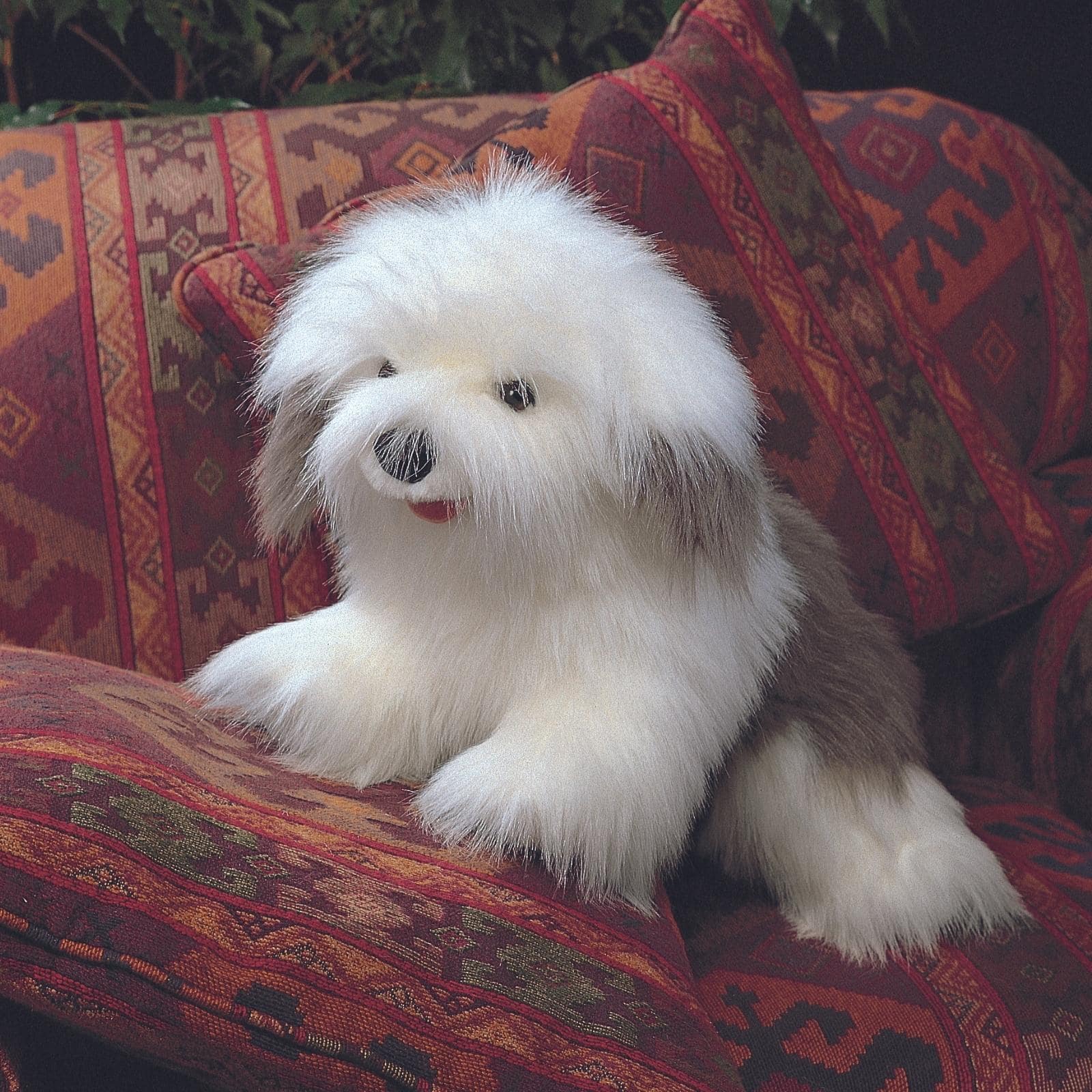 Sheepdog