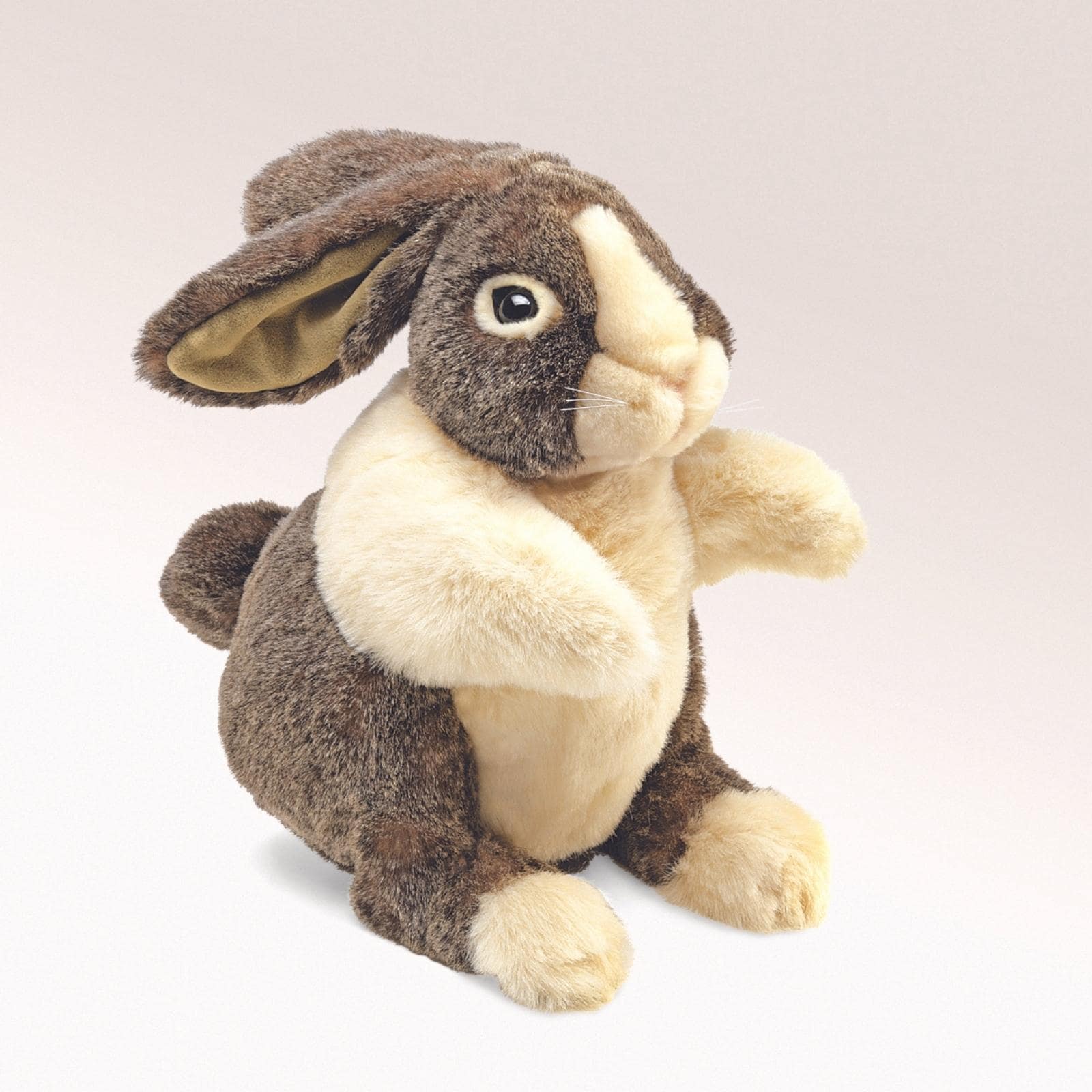 Dutch Rabbit