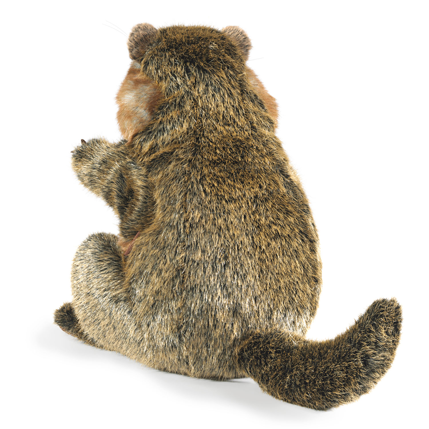 Groundhog