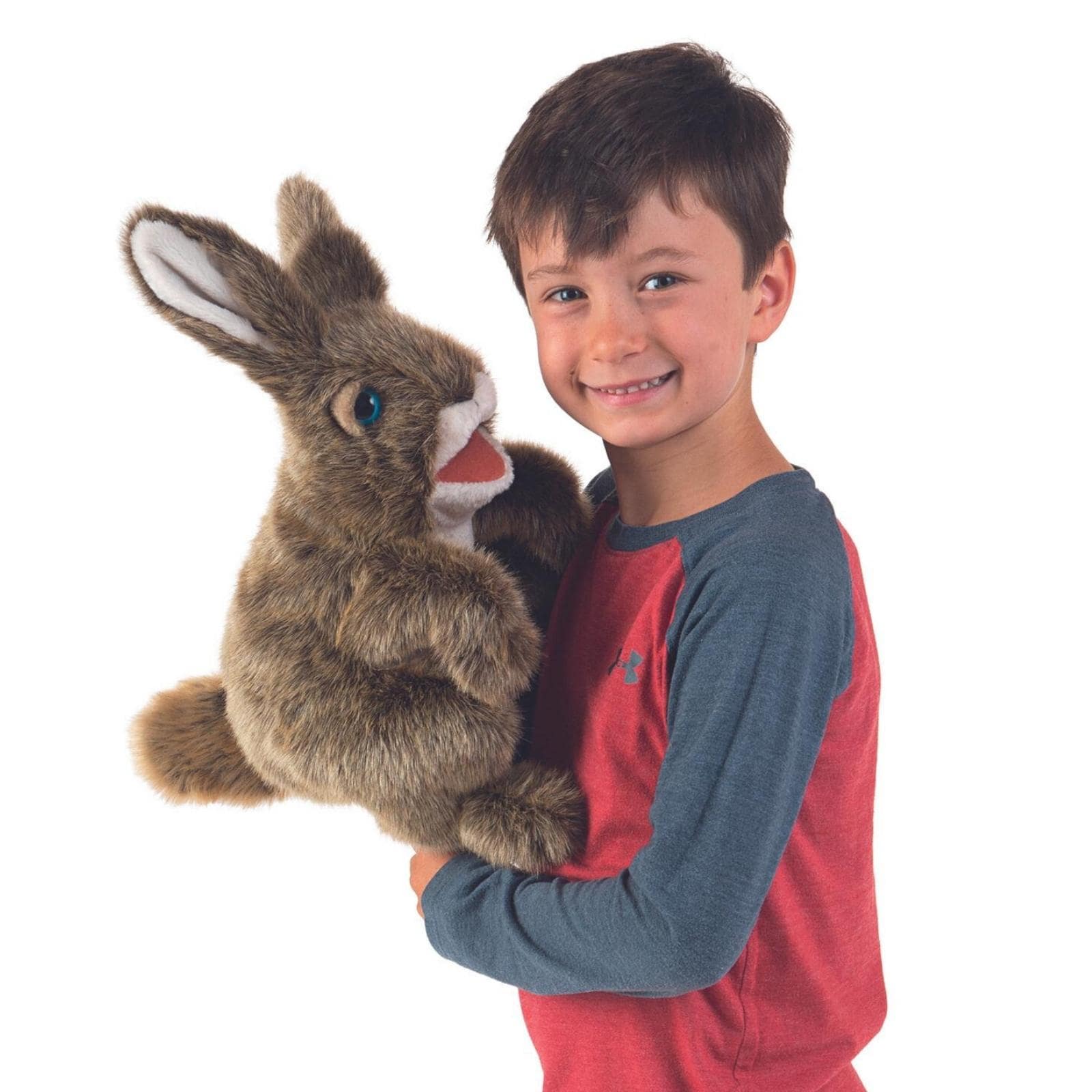 Hare