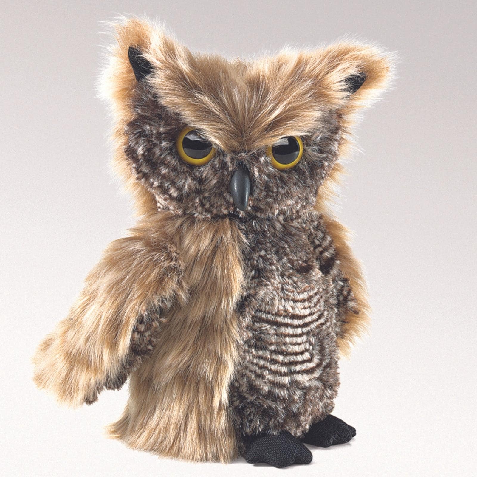 Screech Owl