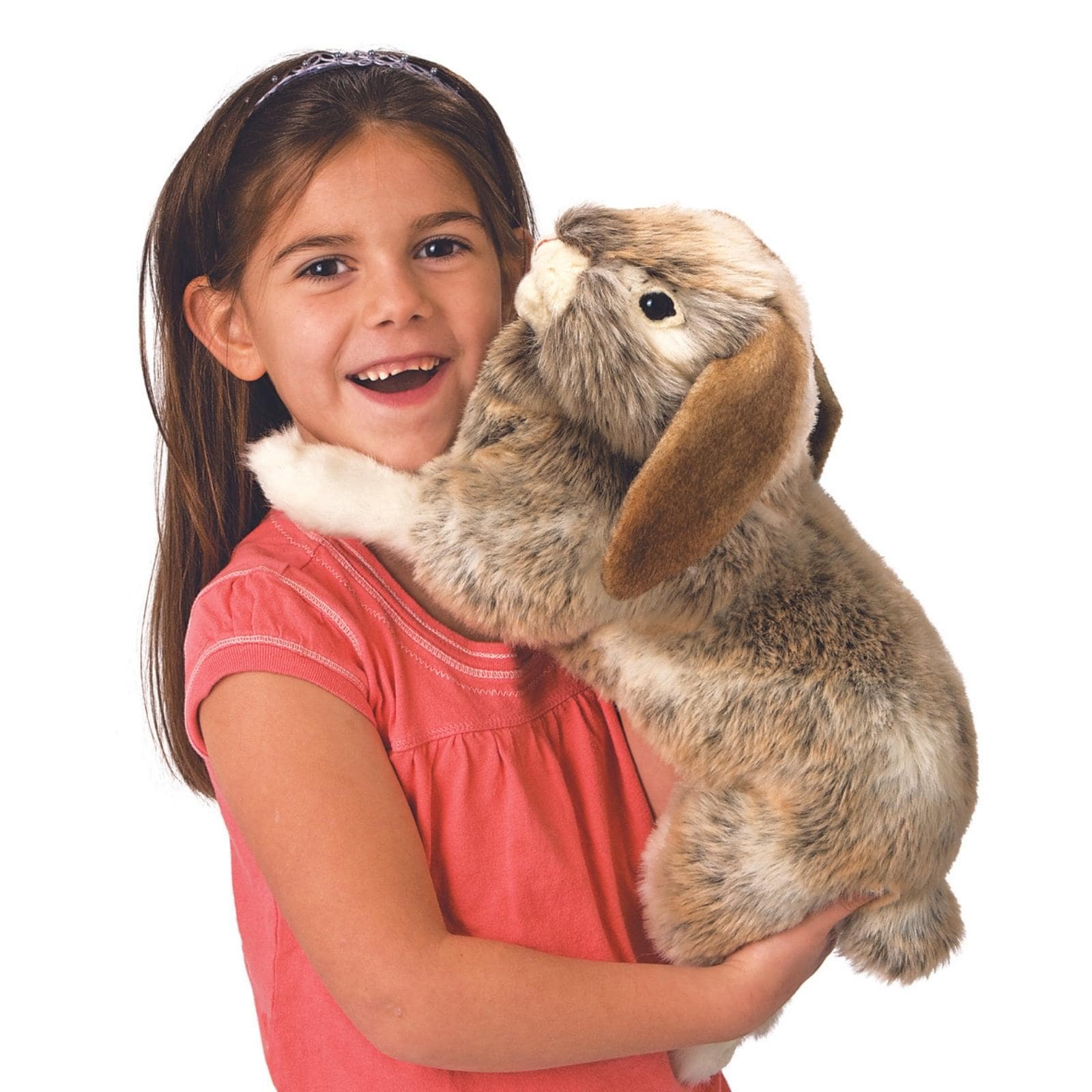 Rabbit, Holland Lop