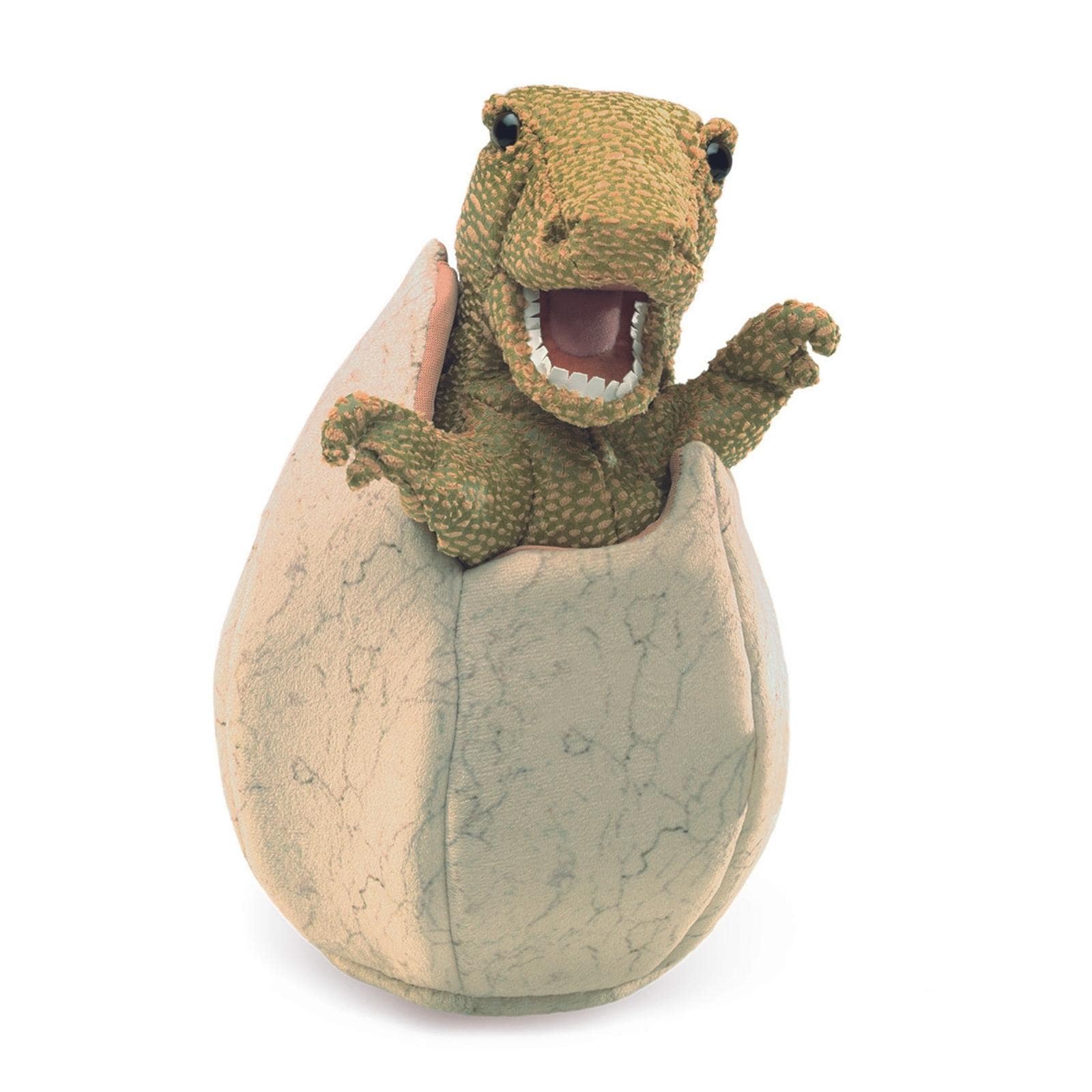 Dinosaur Egg