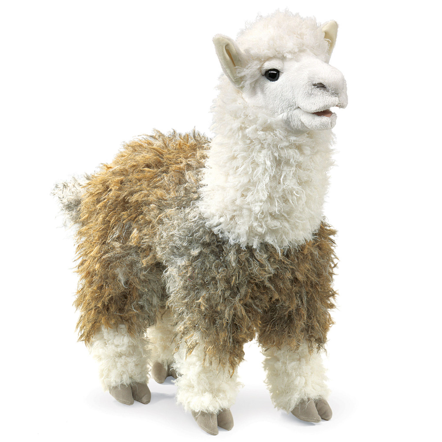 Alpaca