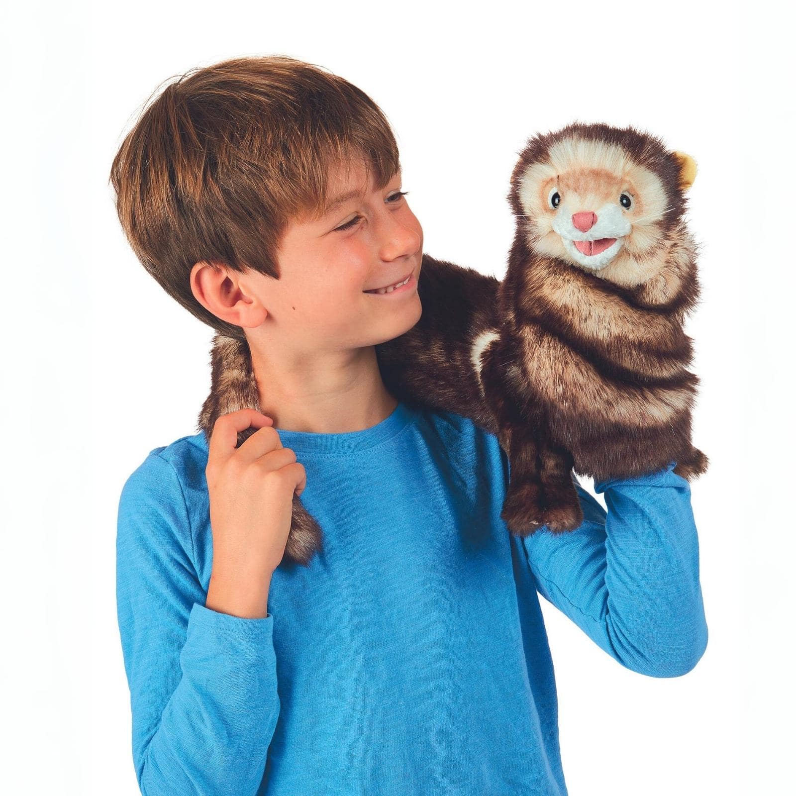 Ferret