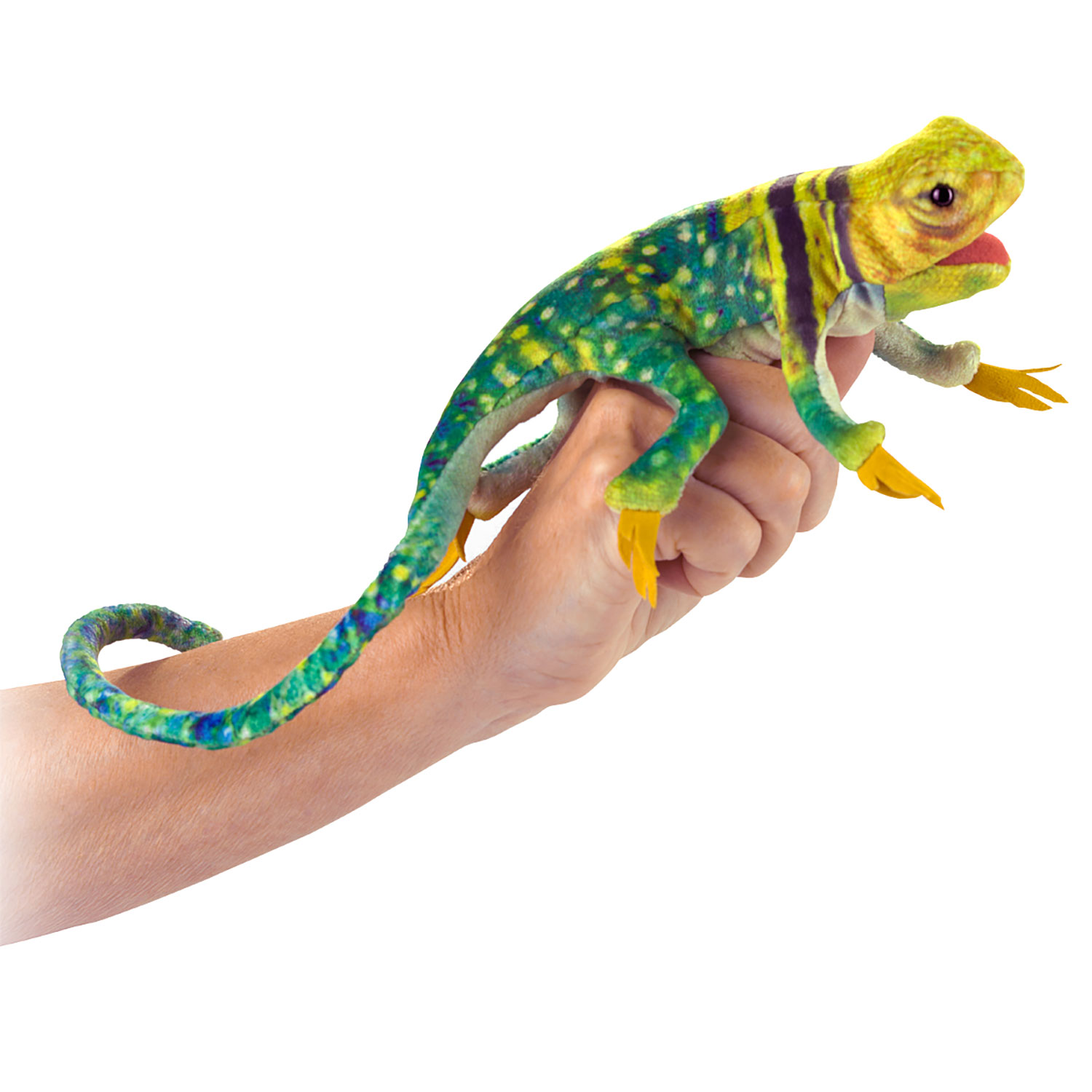 Mini Eidechse