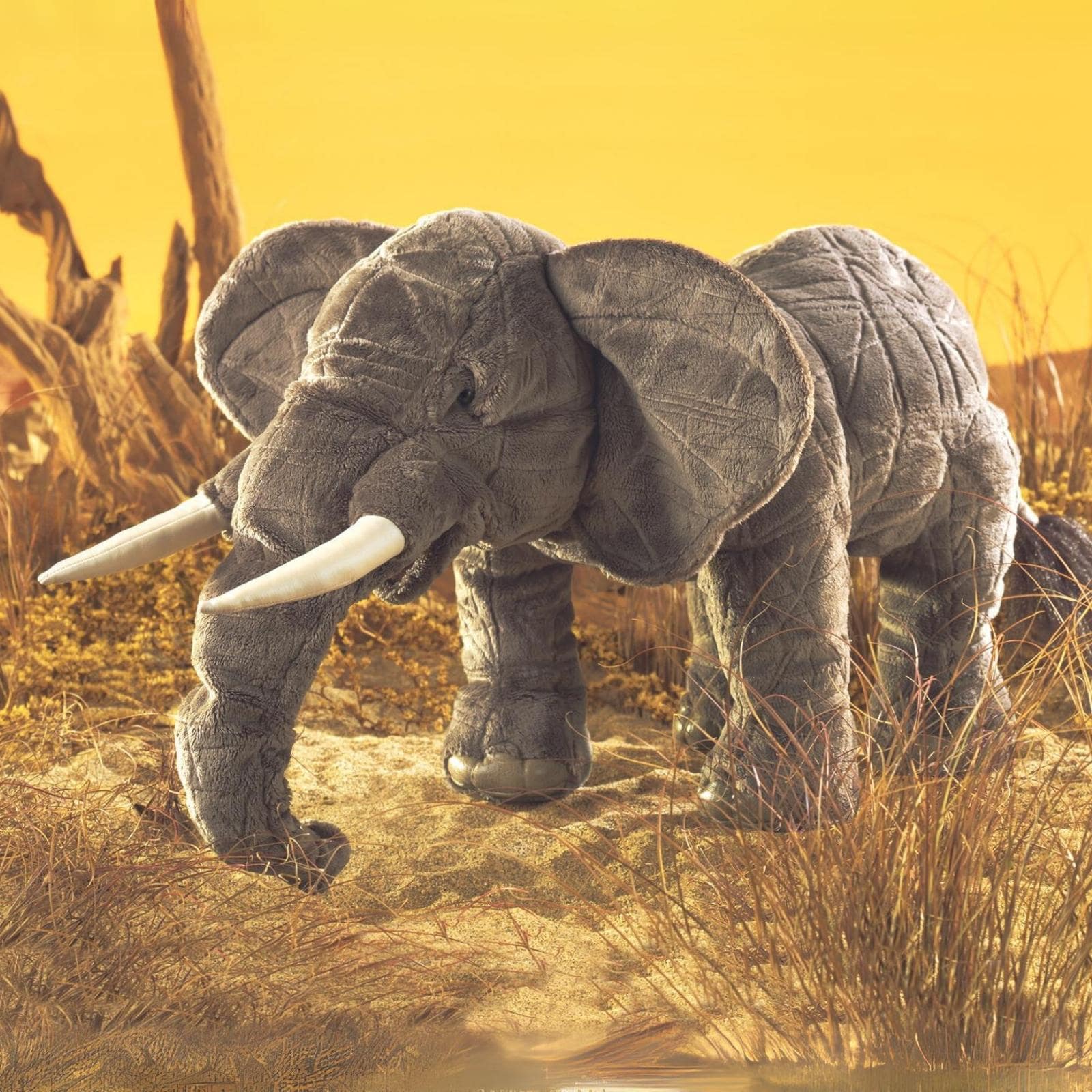 Elephant