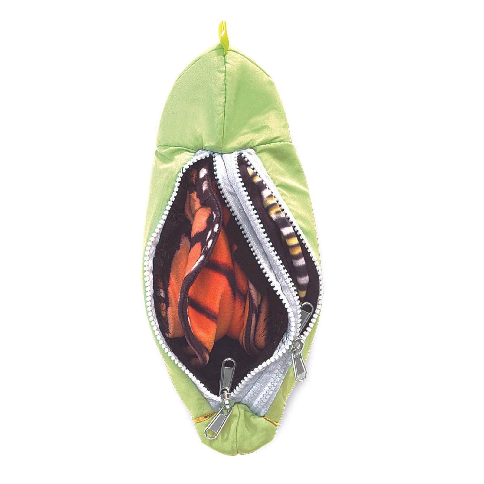 Monarch Life Cycle - Metamorphose