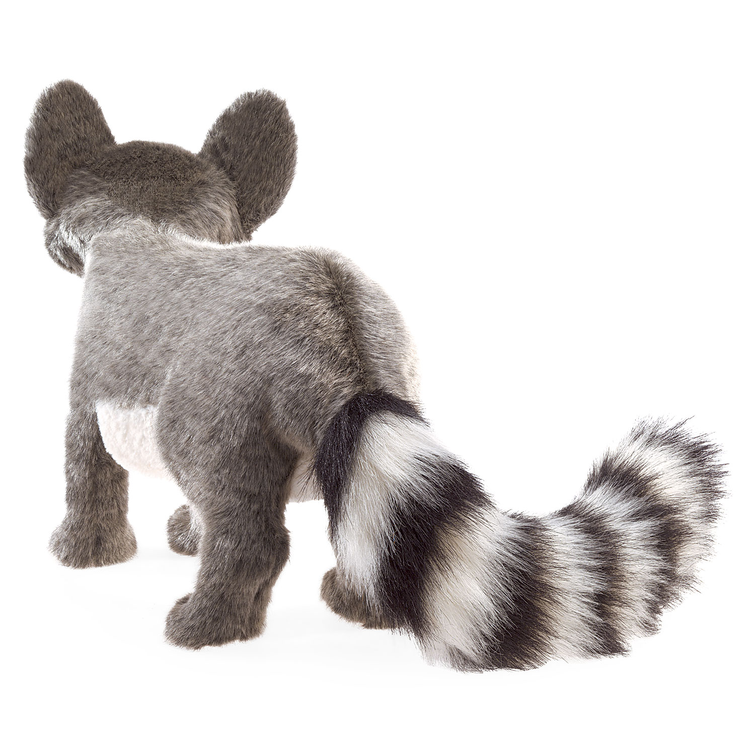 Ringtail Cat