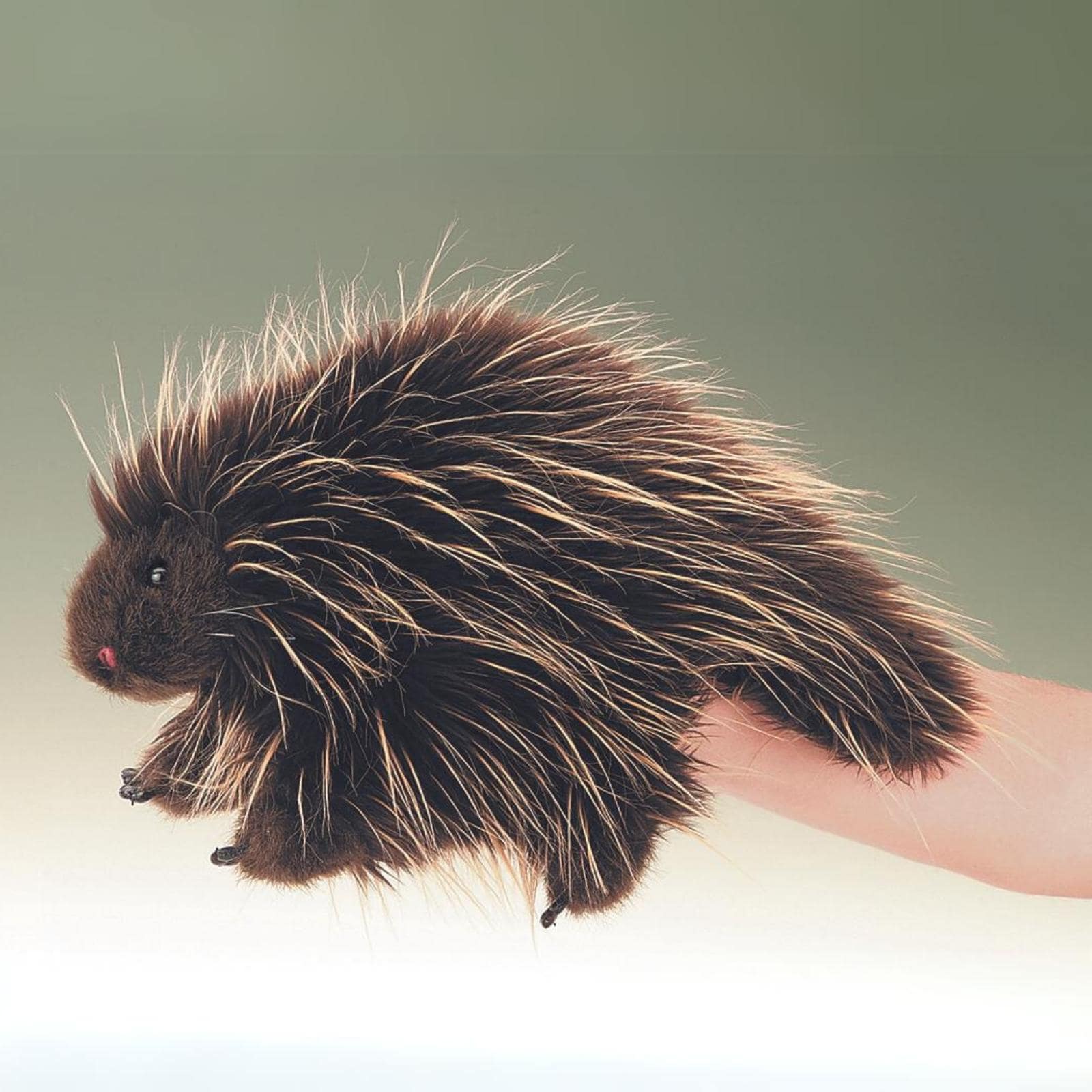 Porcupine