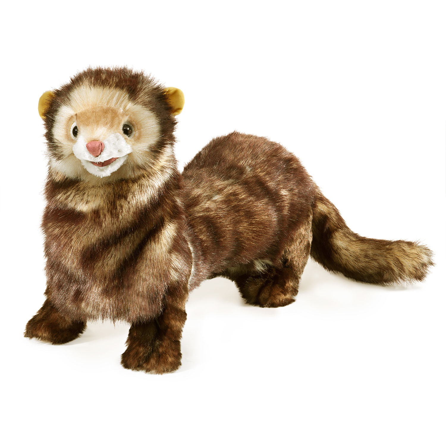 Ferret