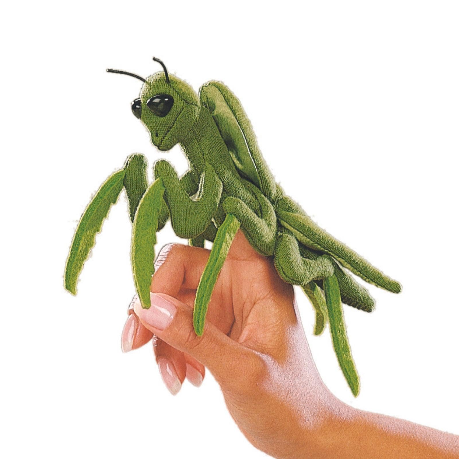 Mini Praying Mantis