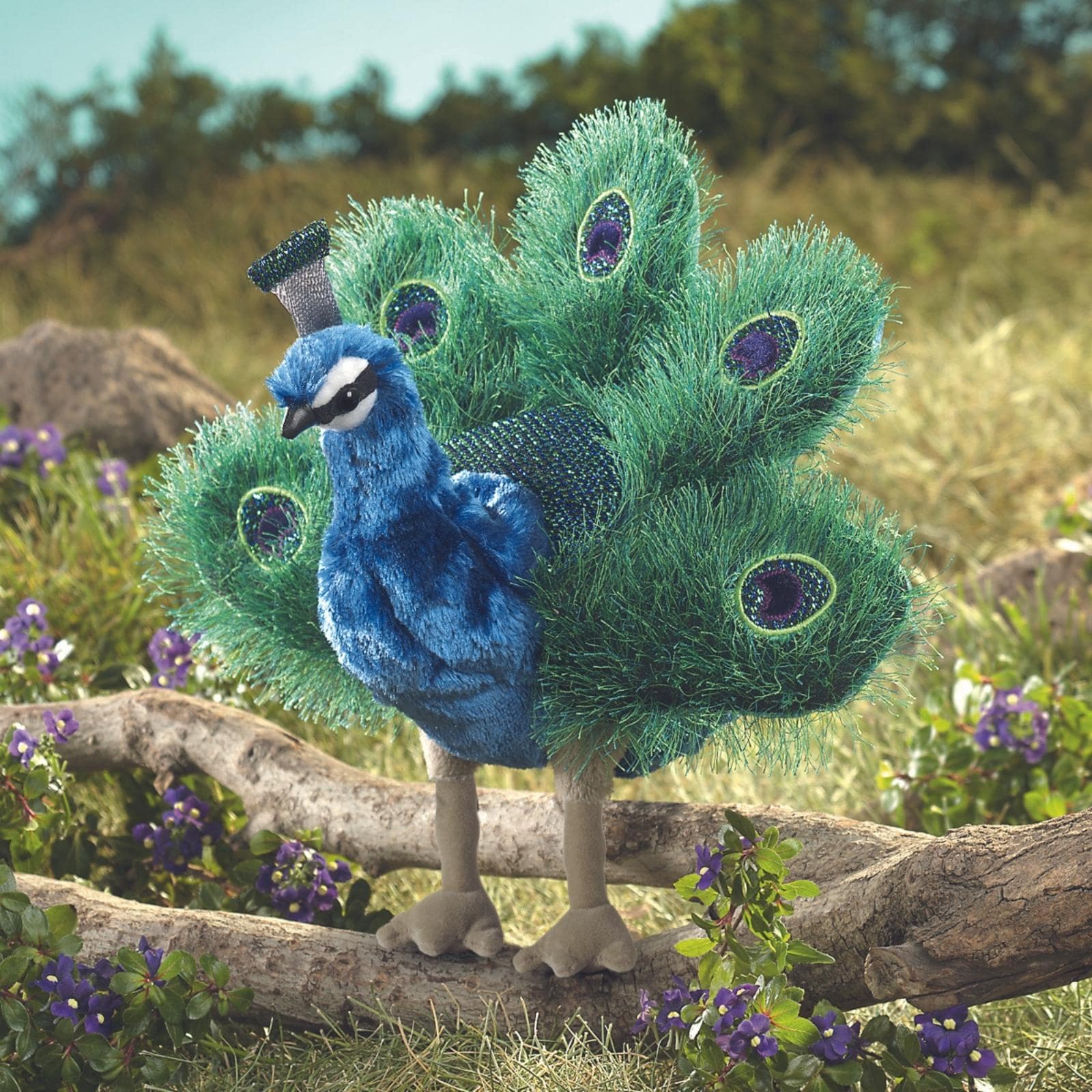 Small Peacock