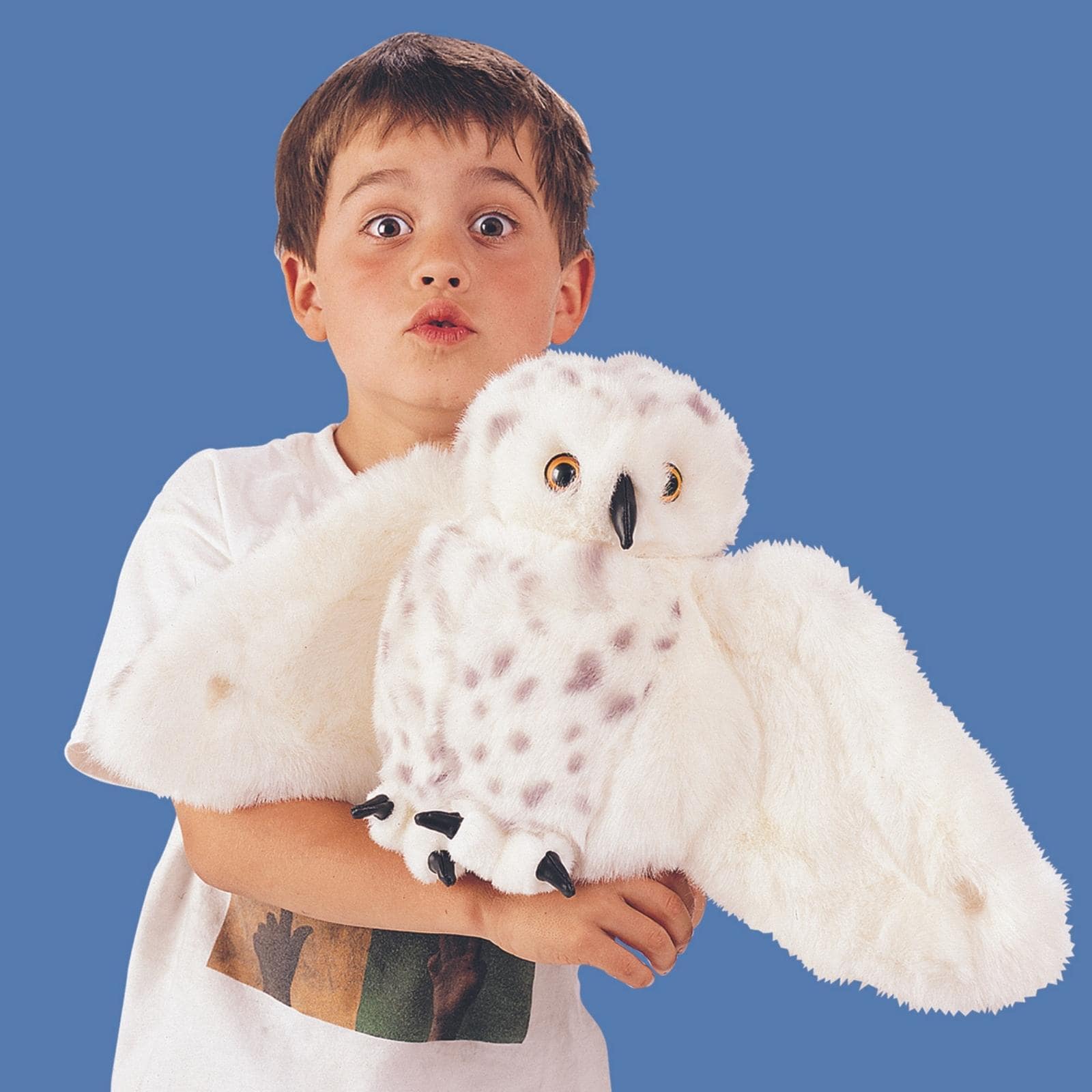 Snowy Owl