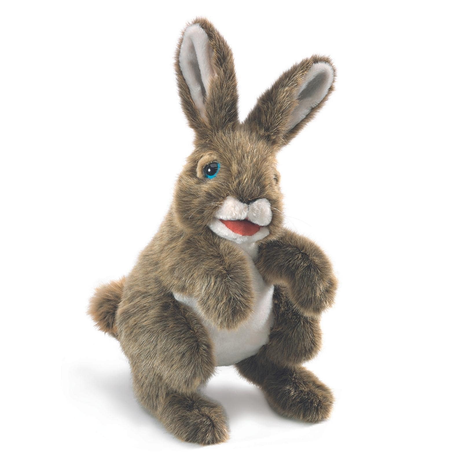 Hare