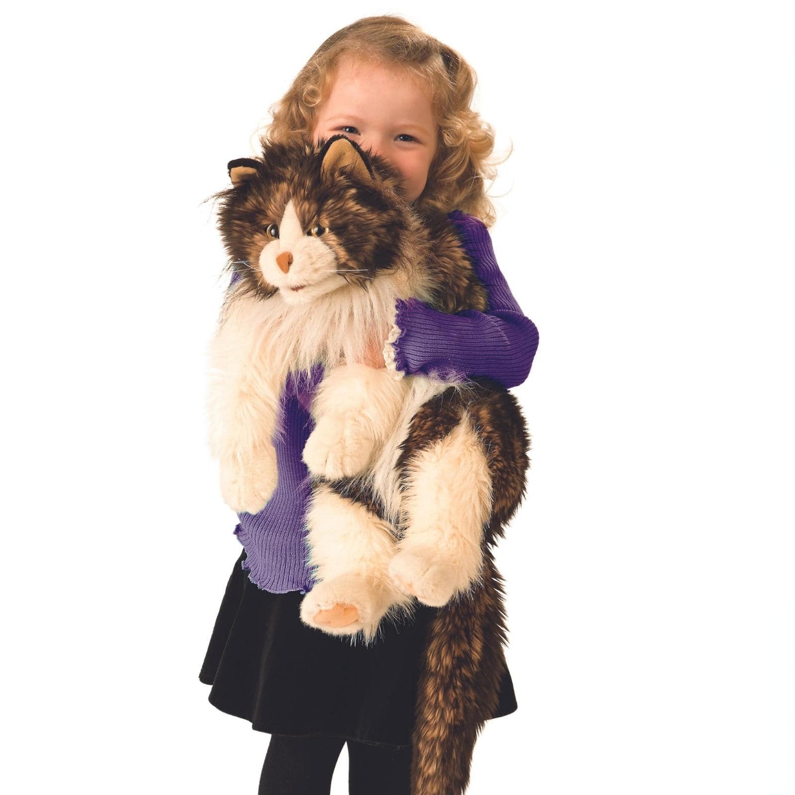 Ragdoll Cat