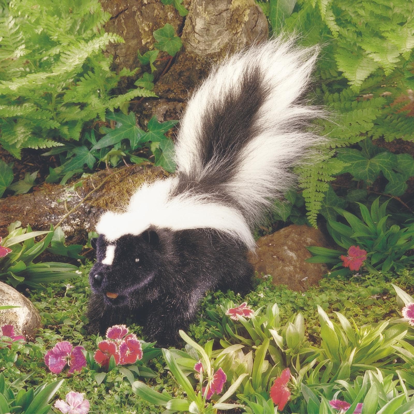 Skunk