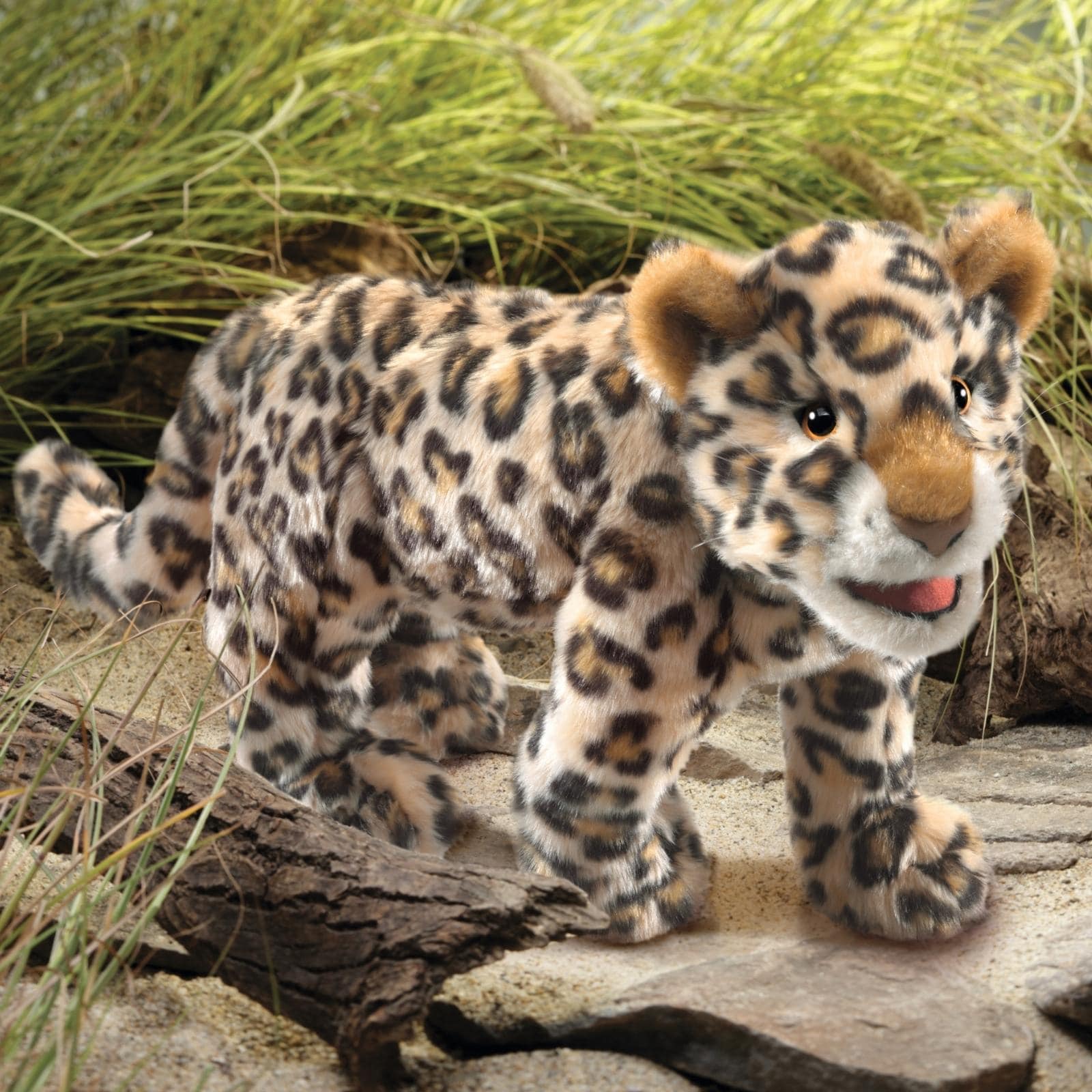 Leopard Cub
