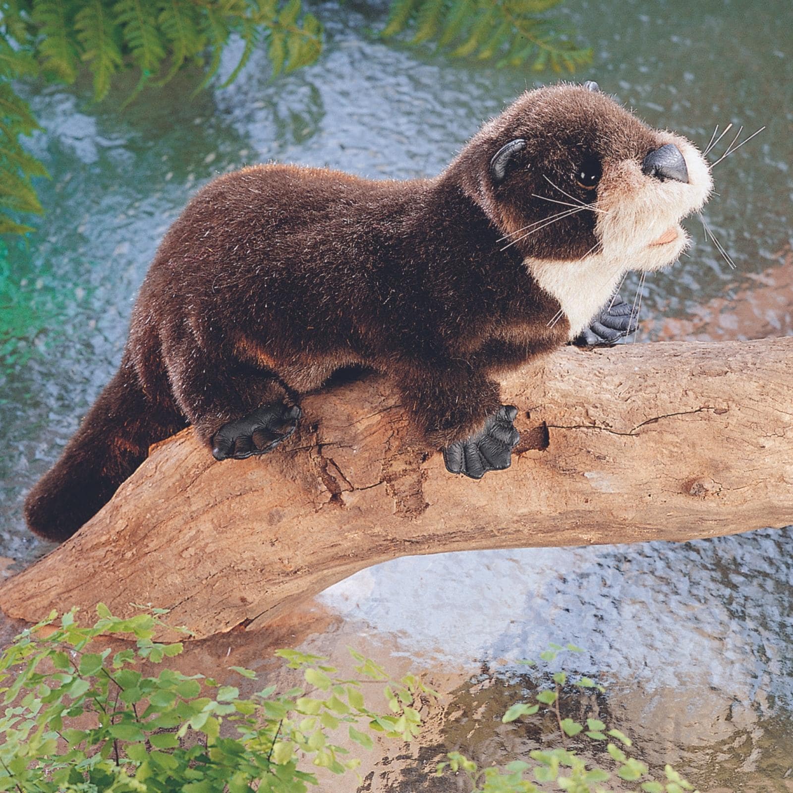 River Otter