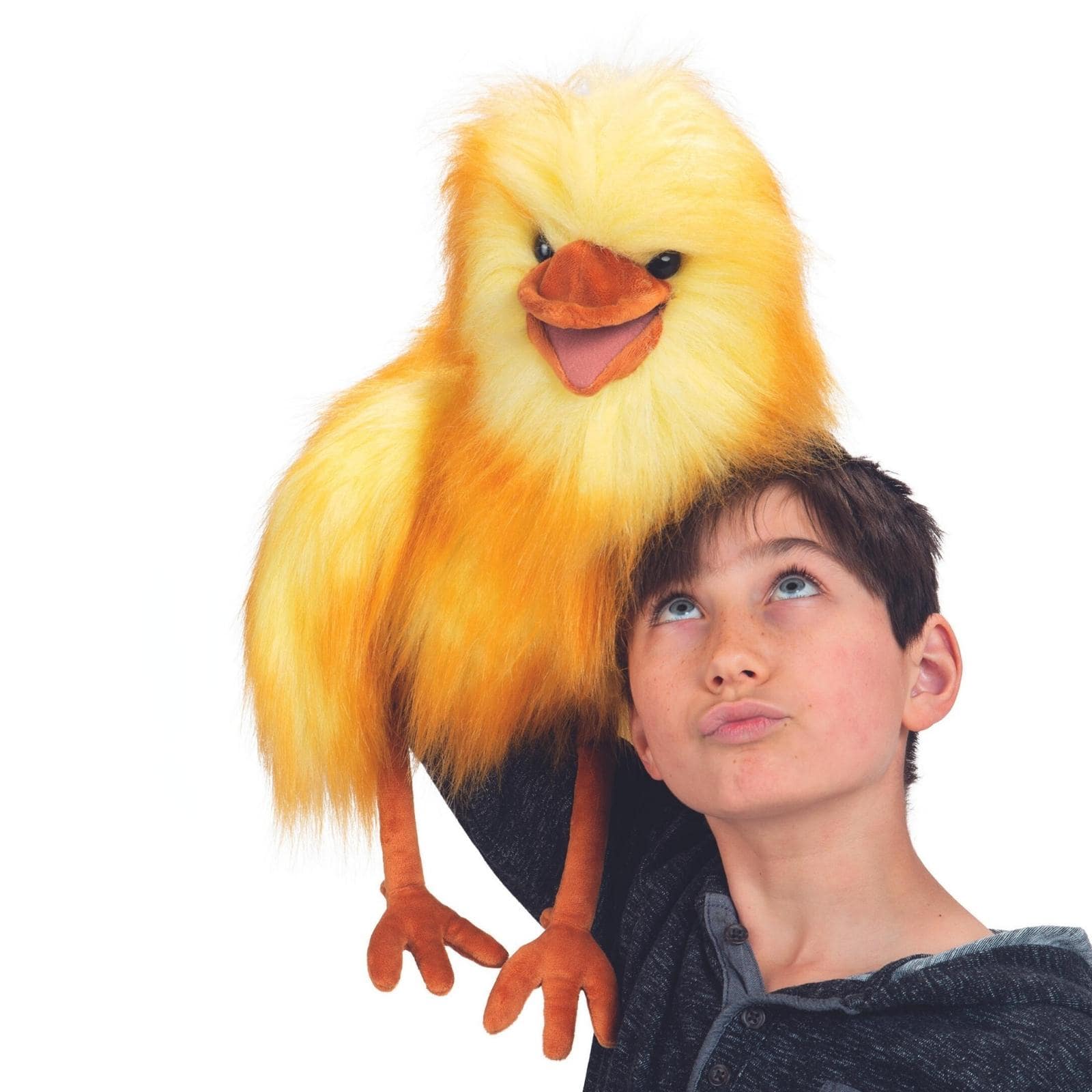 Funny Bird