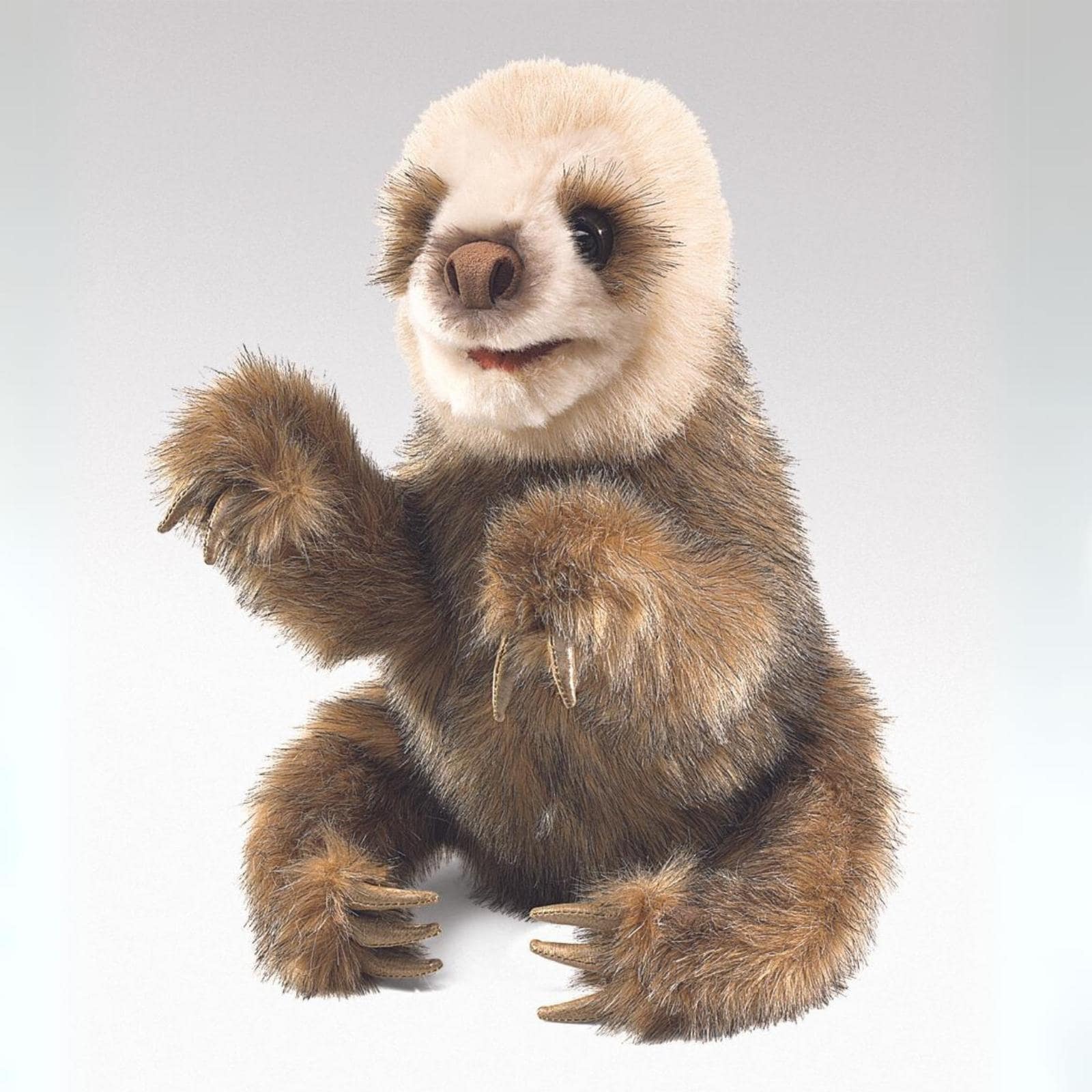 Baby Sloth