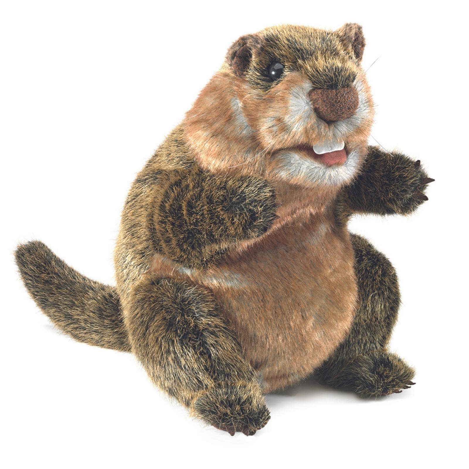 Groundhog