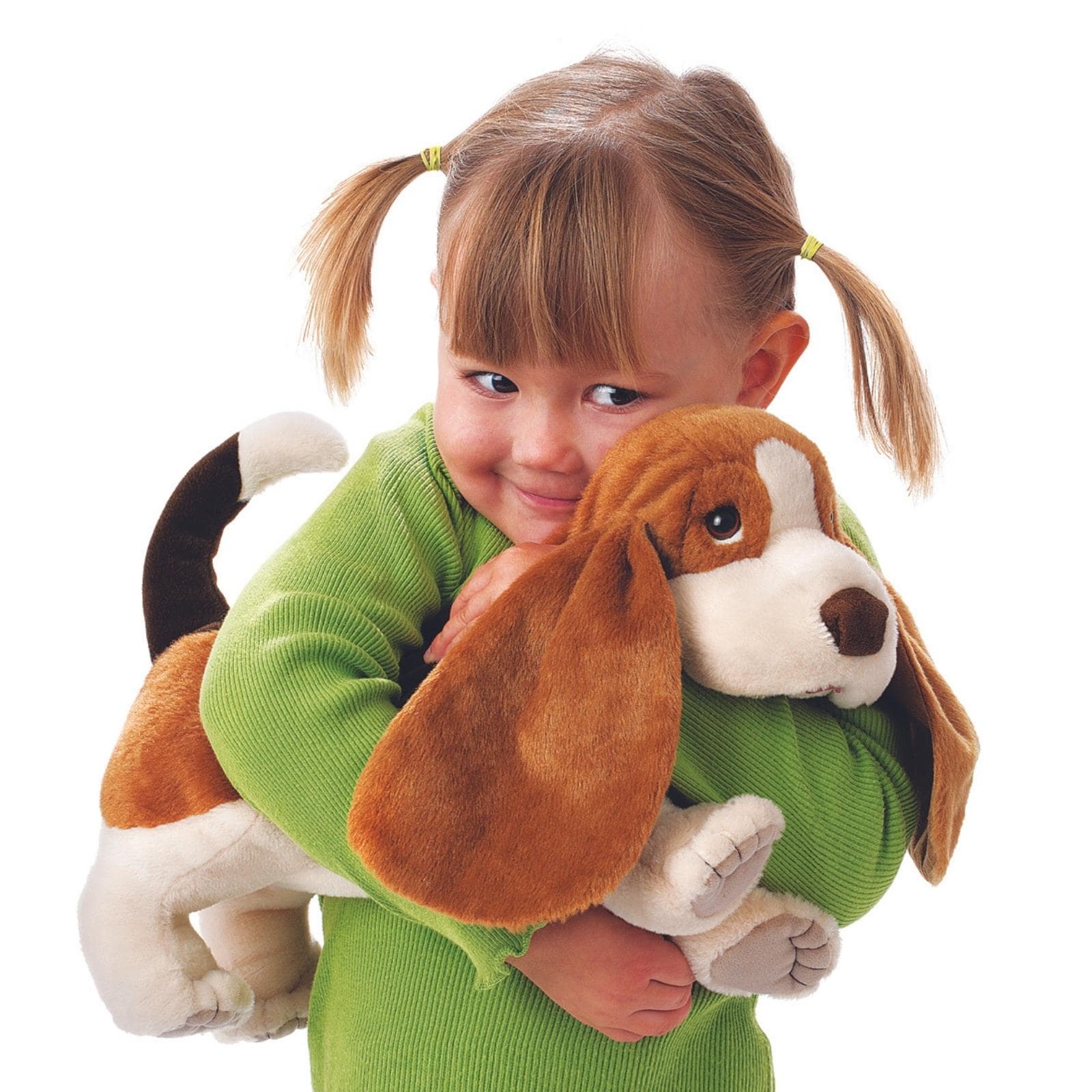 Basset Hound