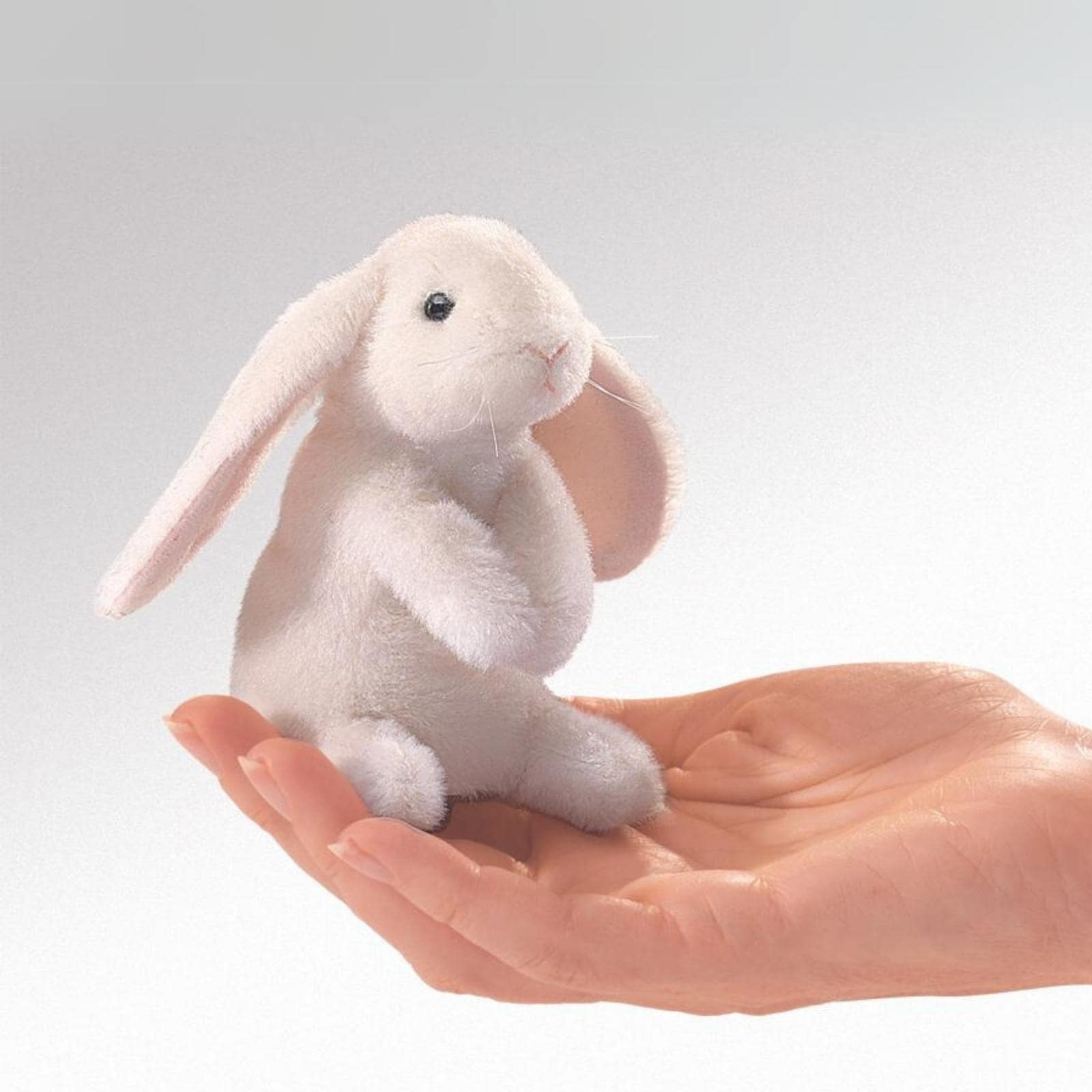 Mini Lop Ear Rabbit