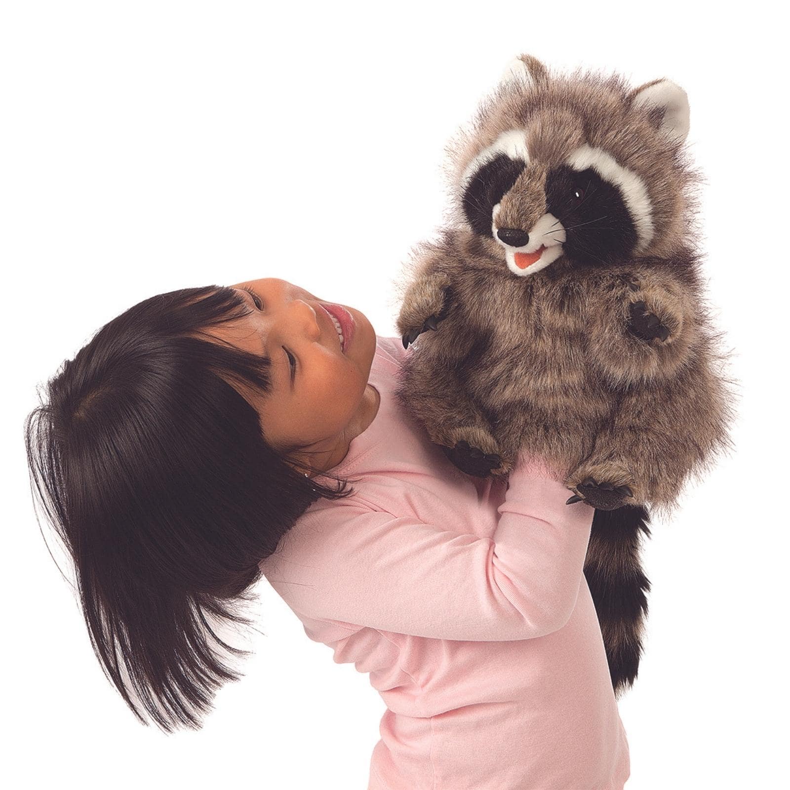 Raccoon