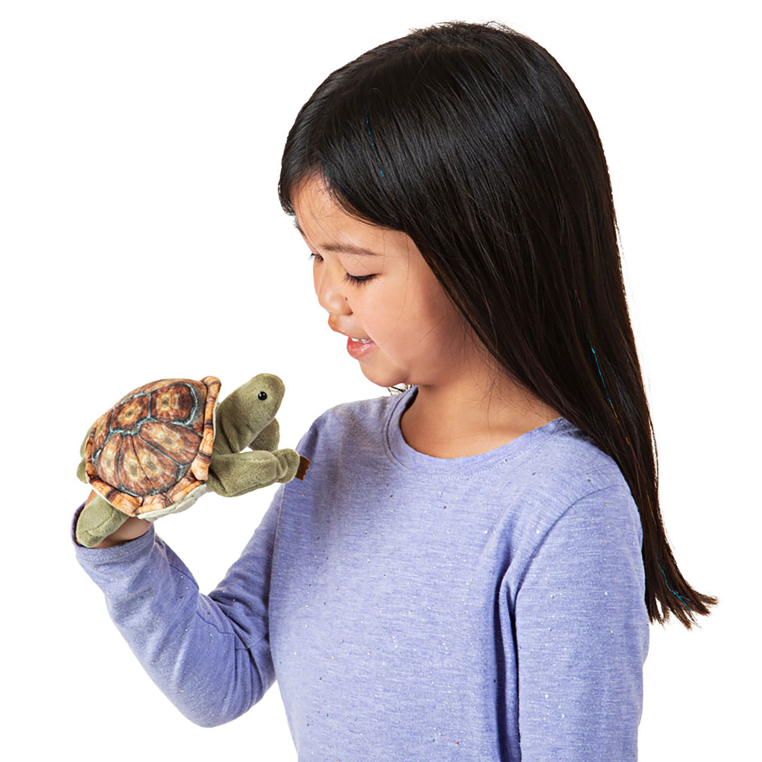 Mini Tortoise