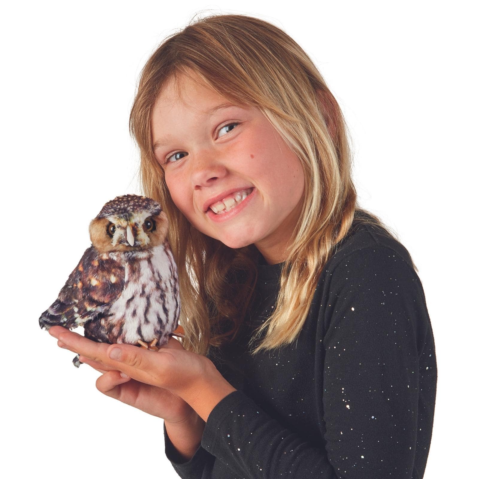 Pygmy Owl