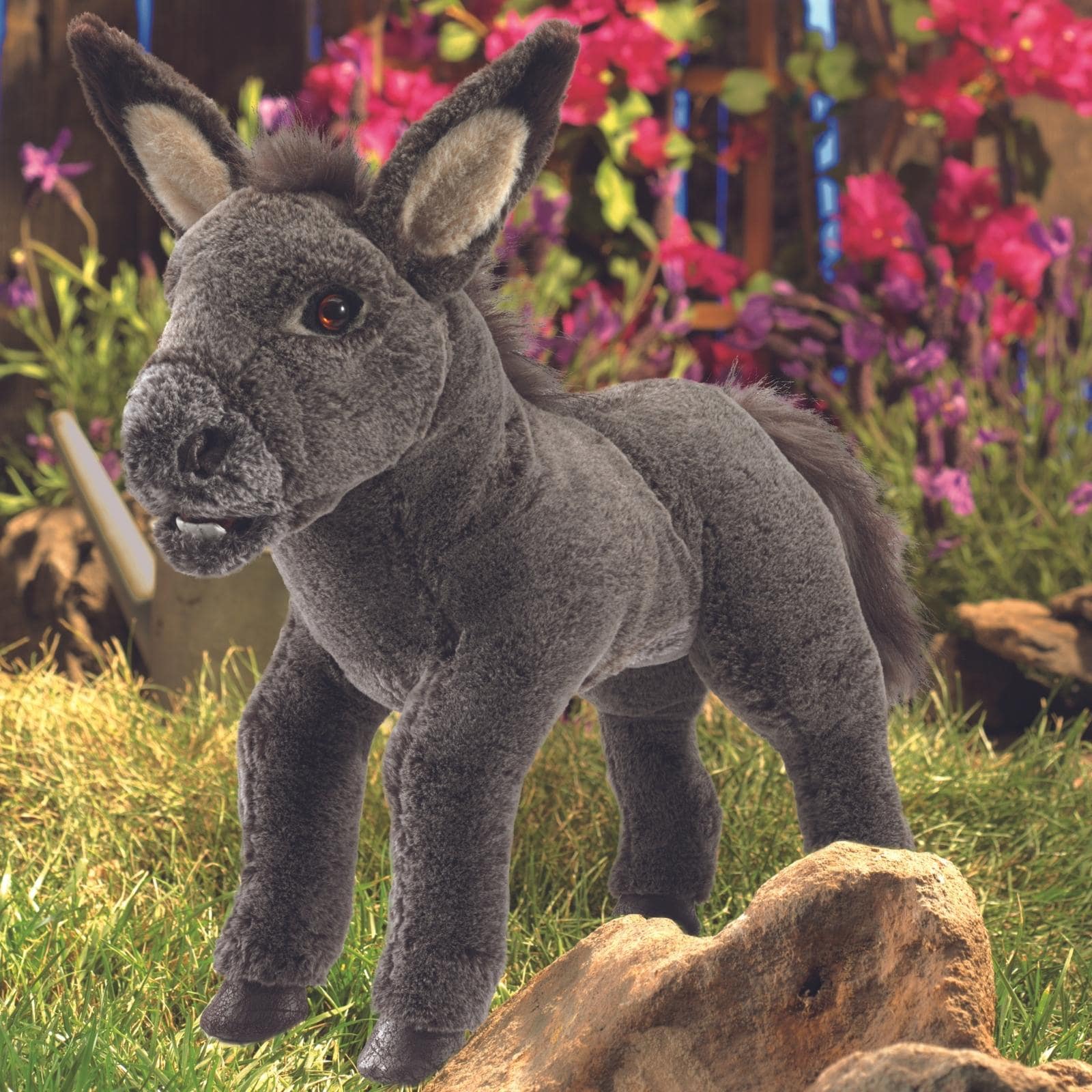 Baby Donkey