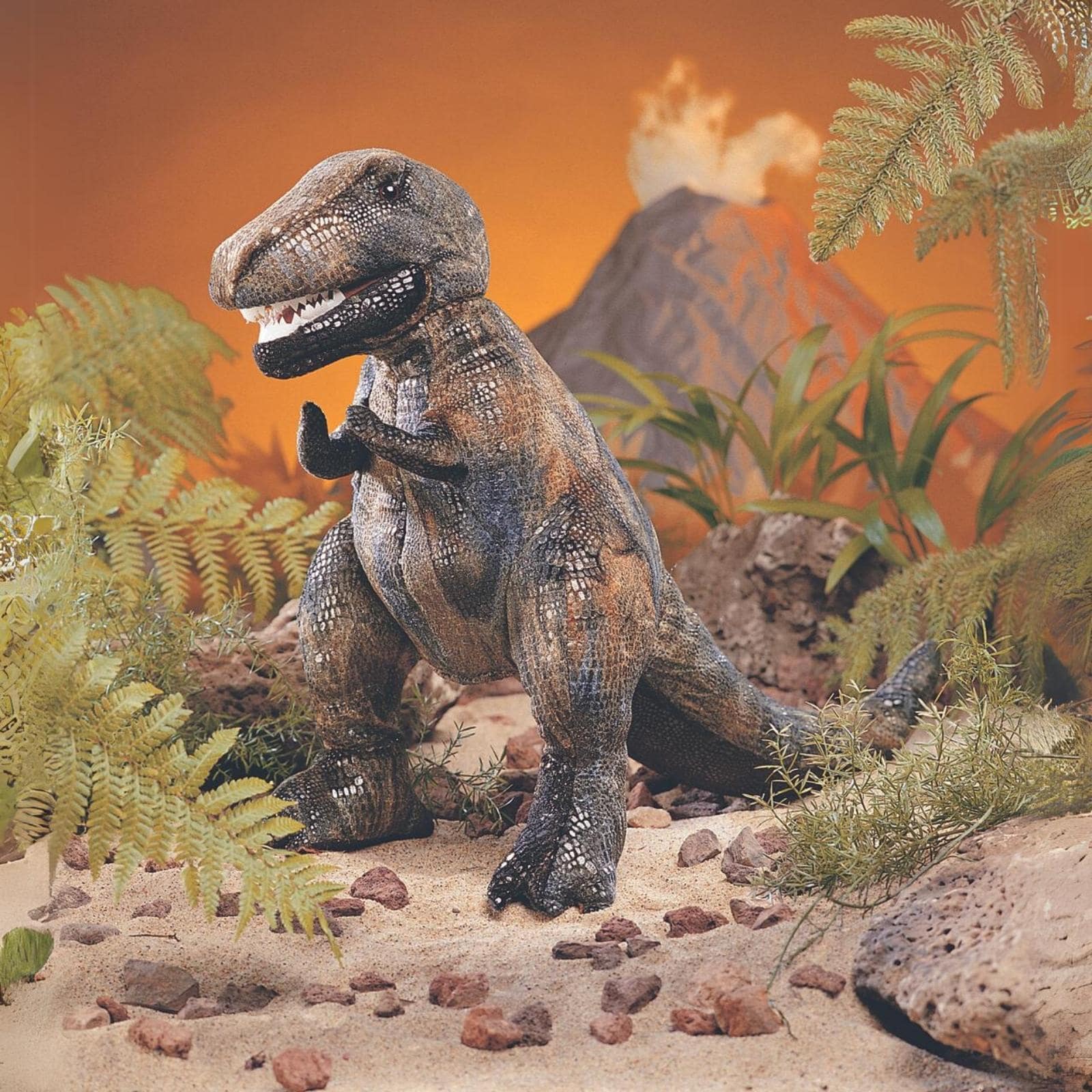 Tyrannosaurus Rex