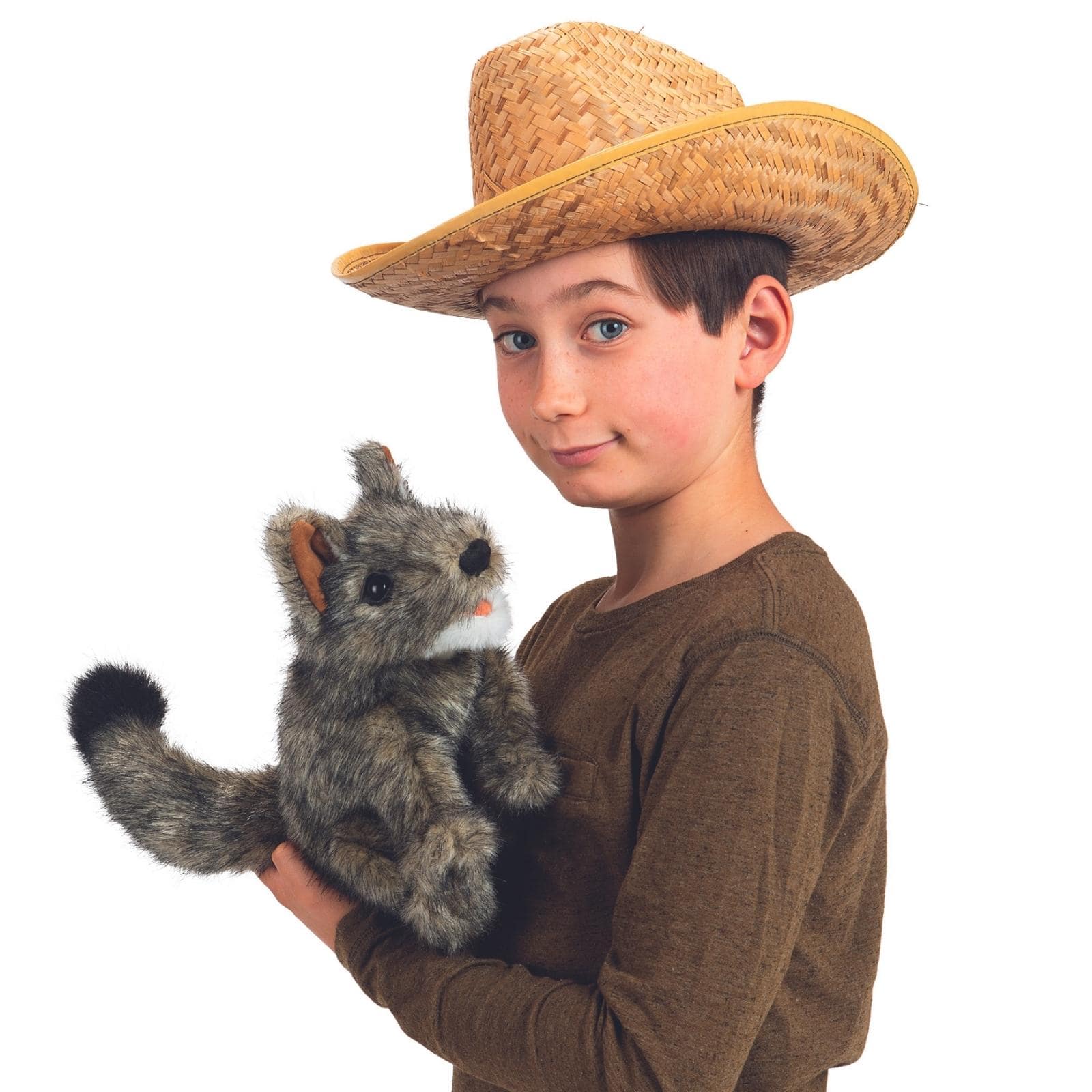 Small Coyote