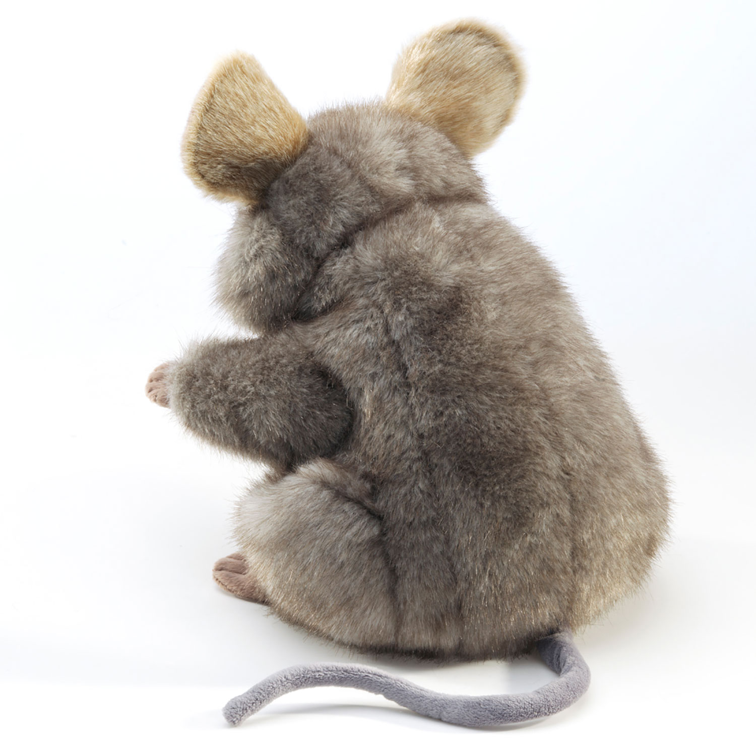 Graue Maus