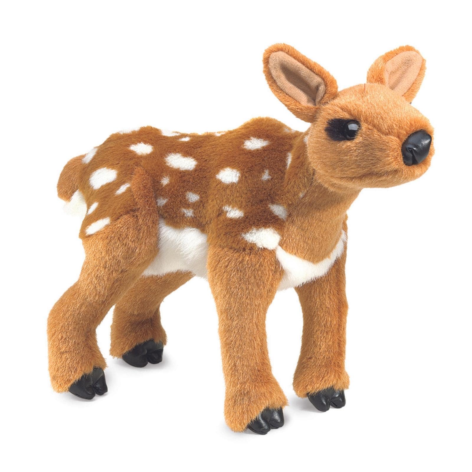 Fawn