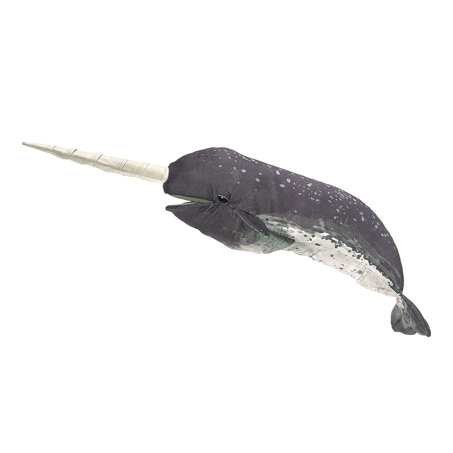 Narwhal