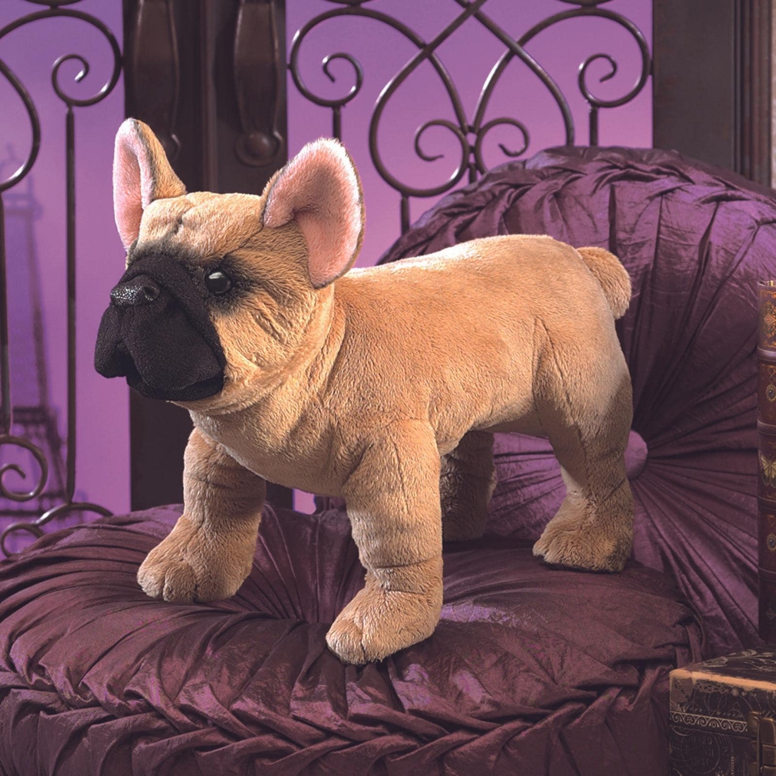 French Bulldog