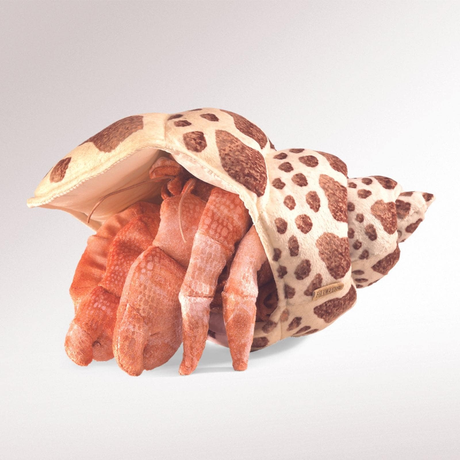 Hermit Crab
